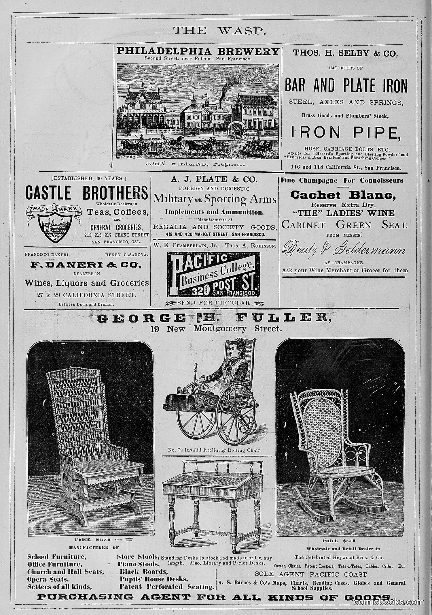 The Wasp — 1881 — page 149 of 532
