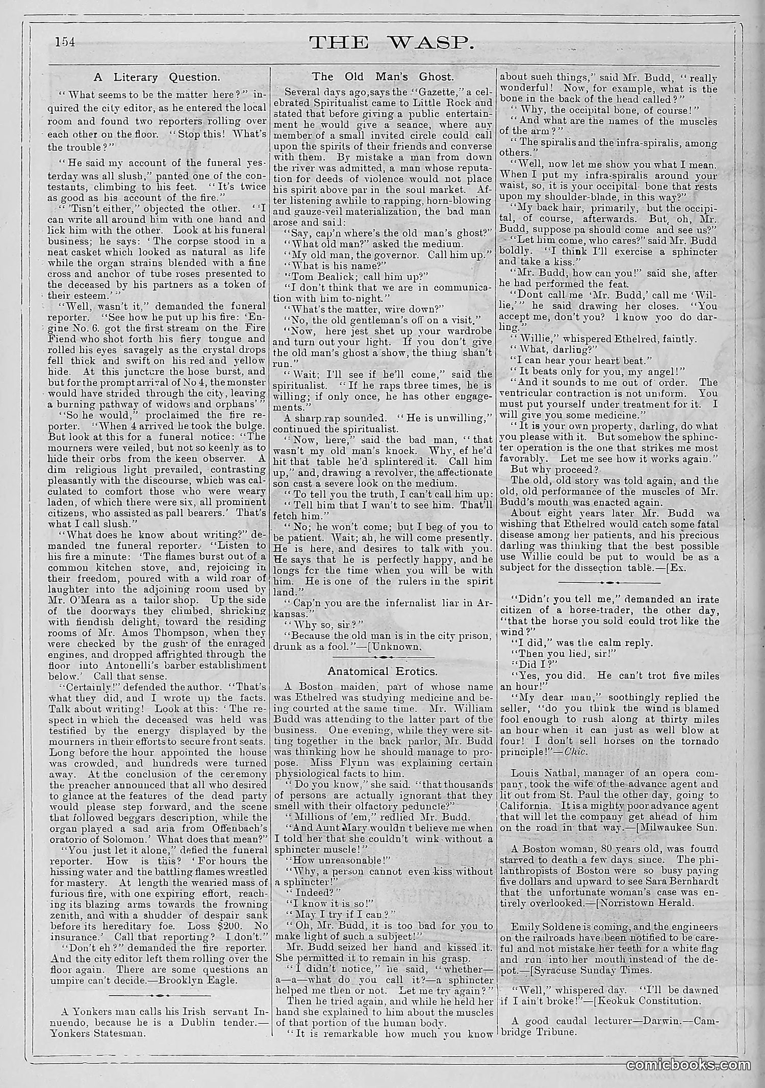 The Wasp — 1881 — page 199 of 532