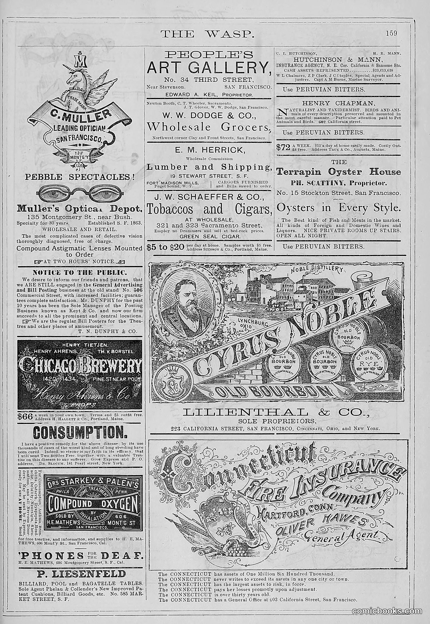 The Wasp — 1881 — page 204 of 532
