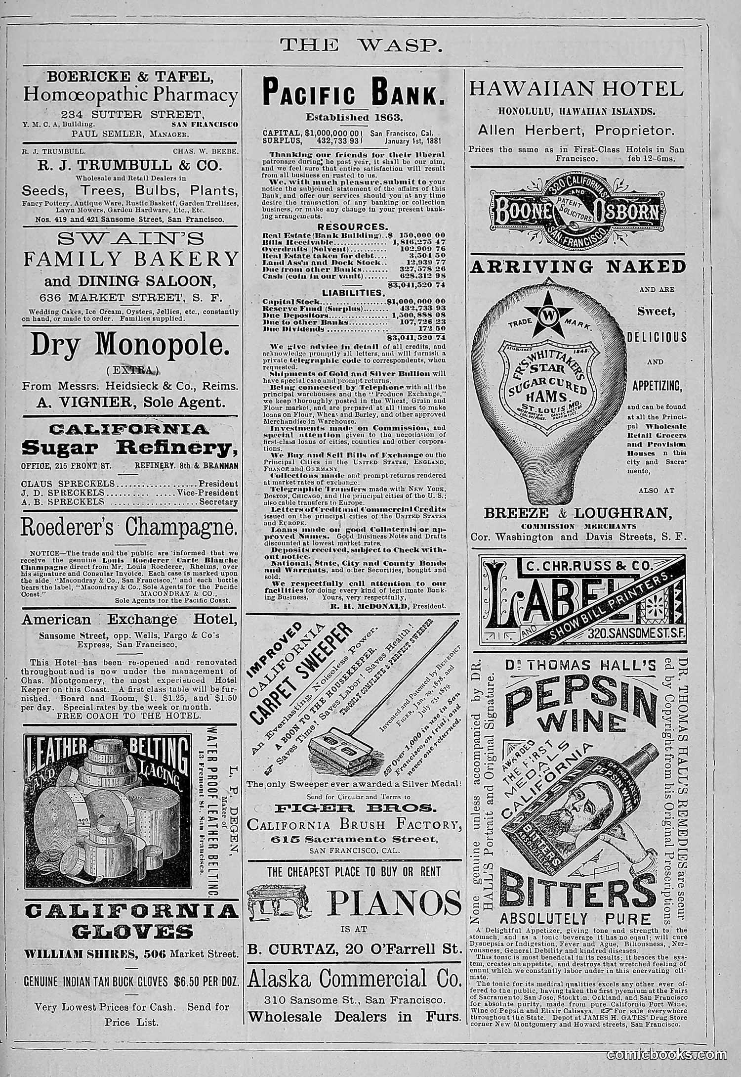 The Wasp — 1881 — page 206 of 532