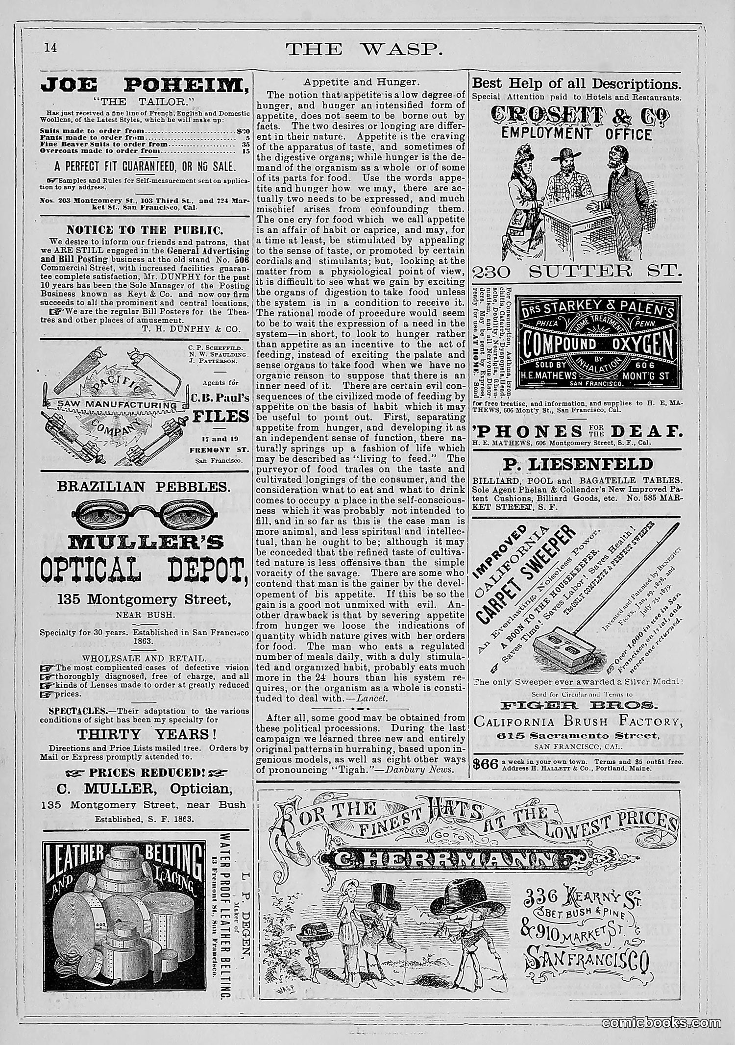 The Wasp — 1881 — page 23 of 532