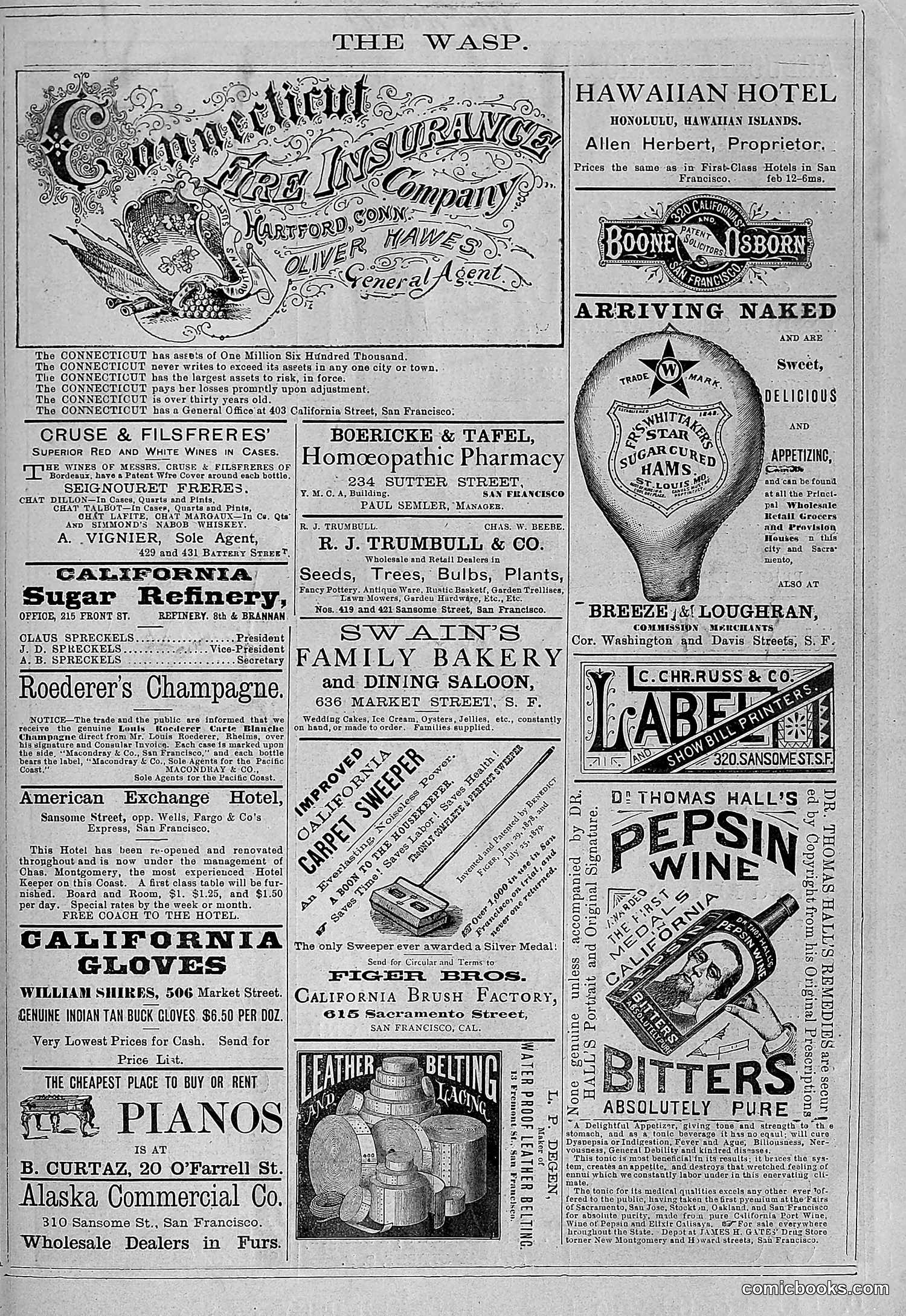 The Wasp — 1881 — page 226 of 532