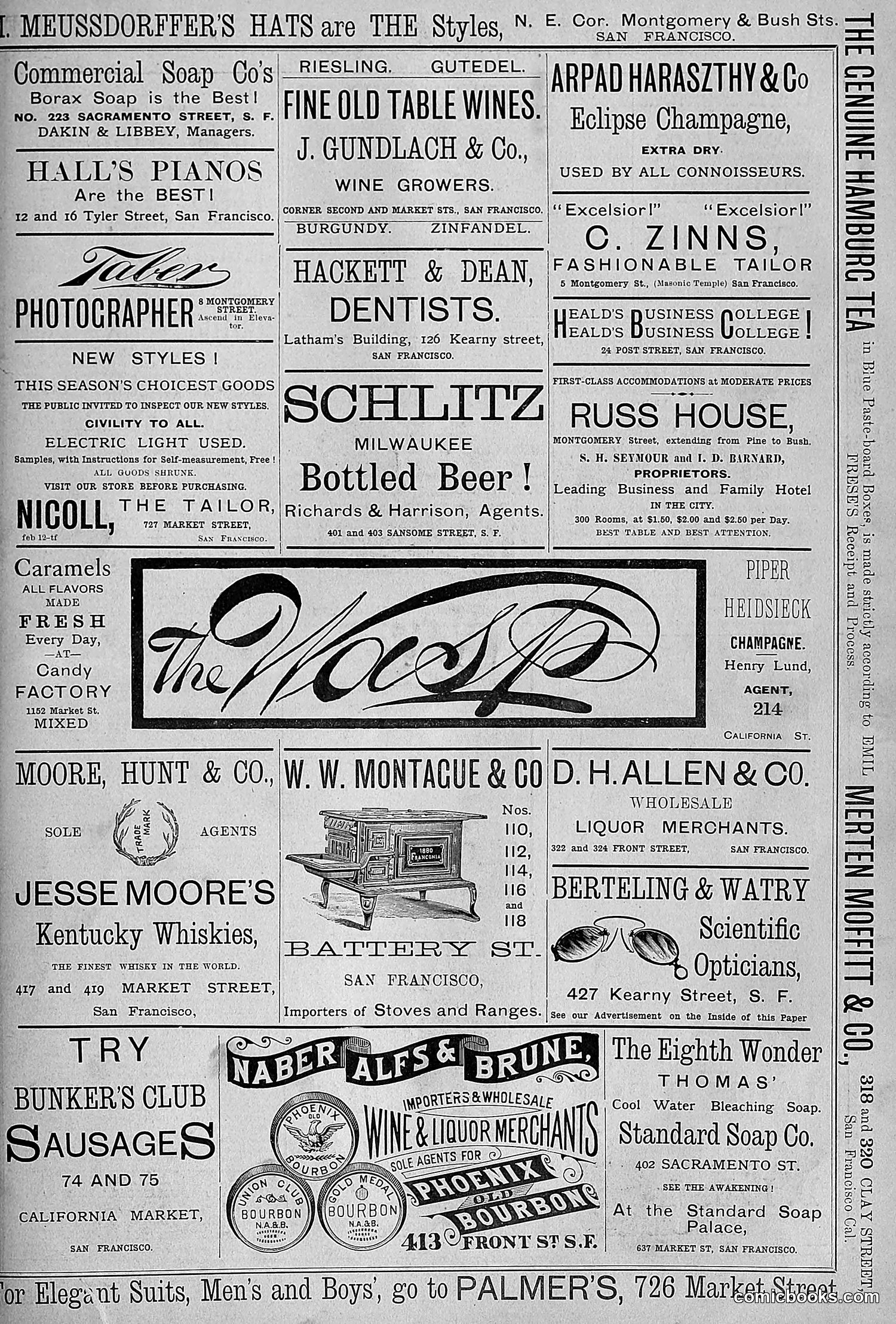 The Wasp — 1881 — page 228 of 532