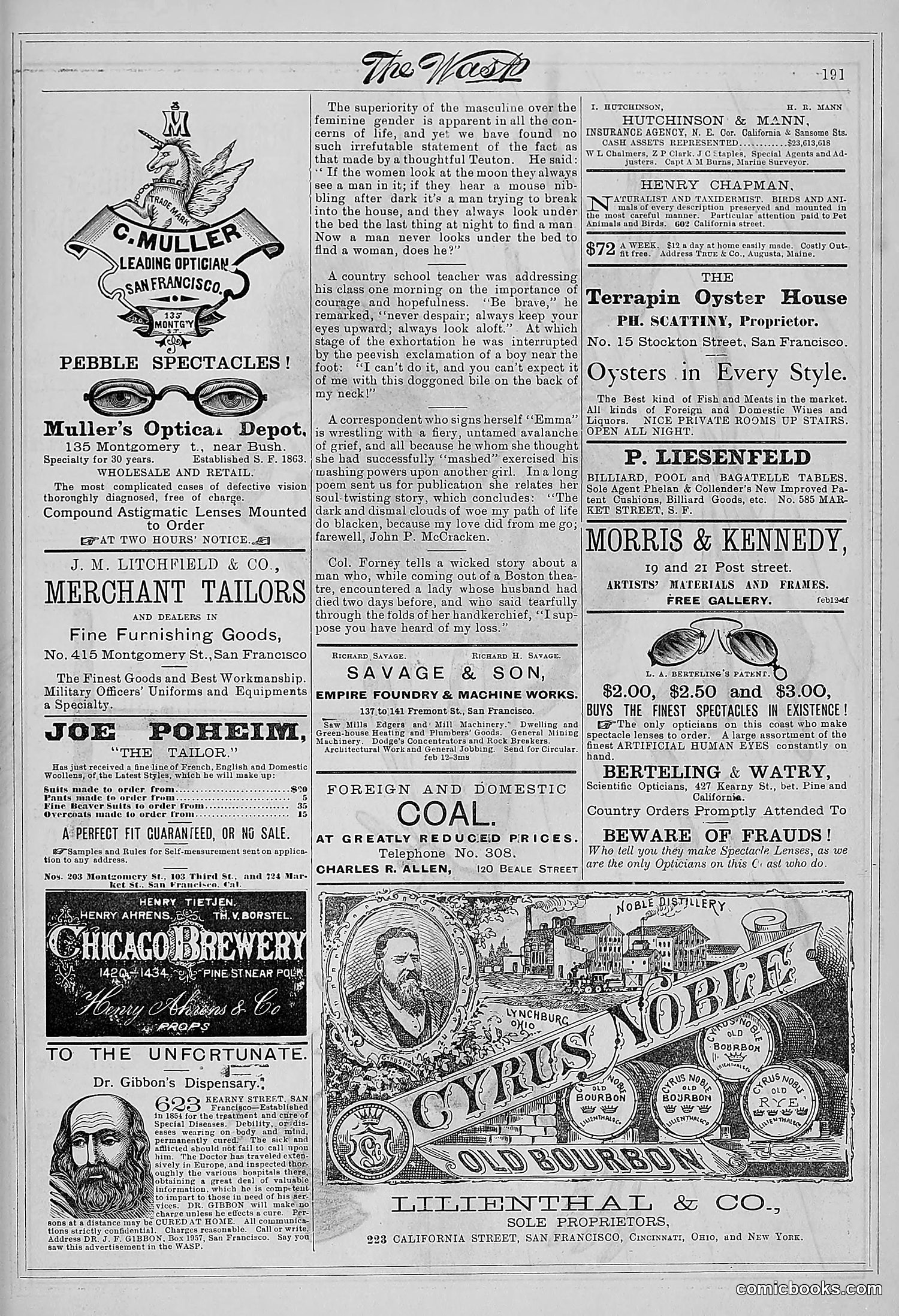 The Wasp — 1881 — page 244 of 532