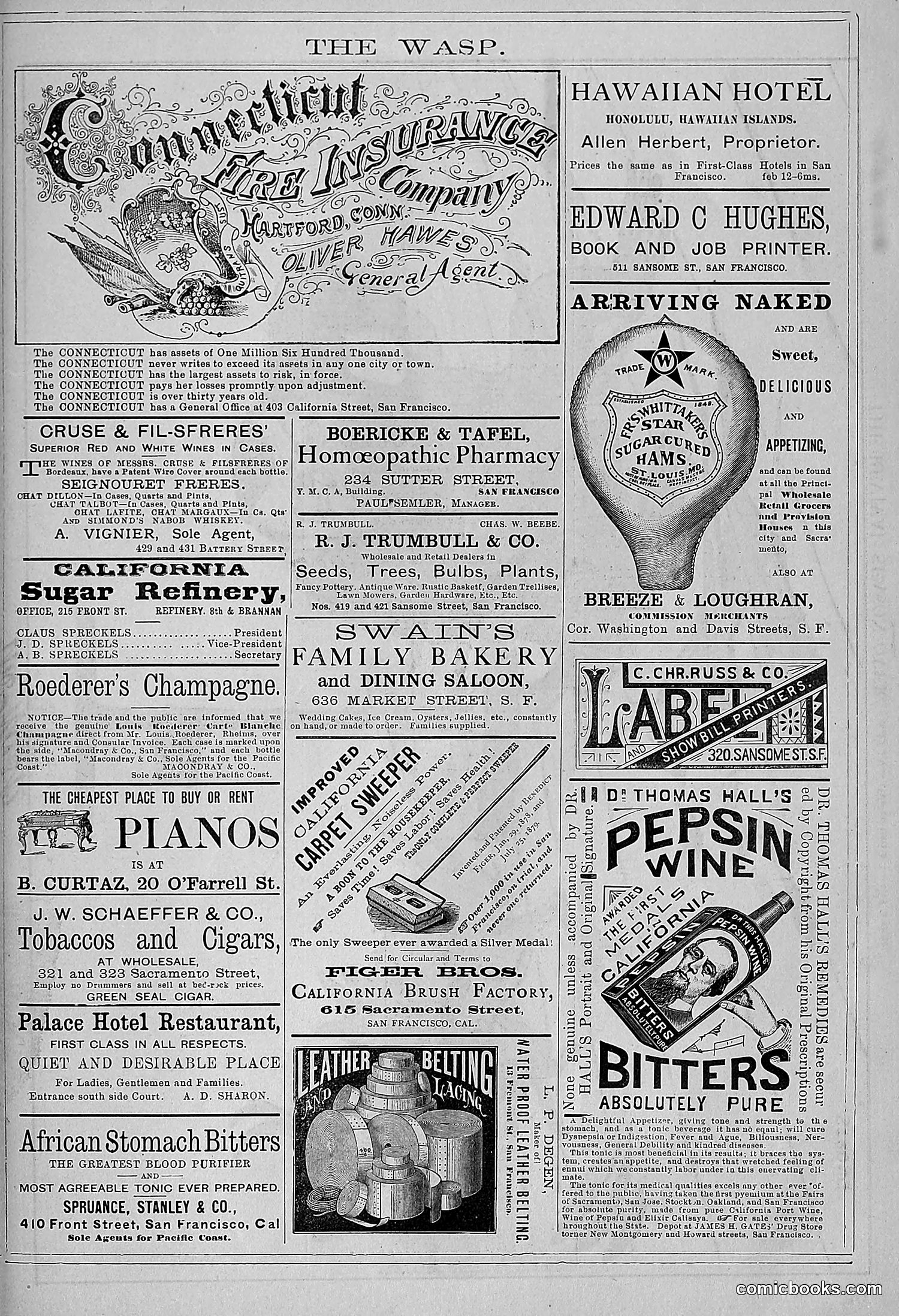The Wasp — 1881 — page 246 of 532
