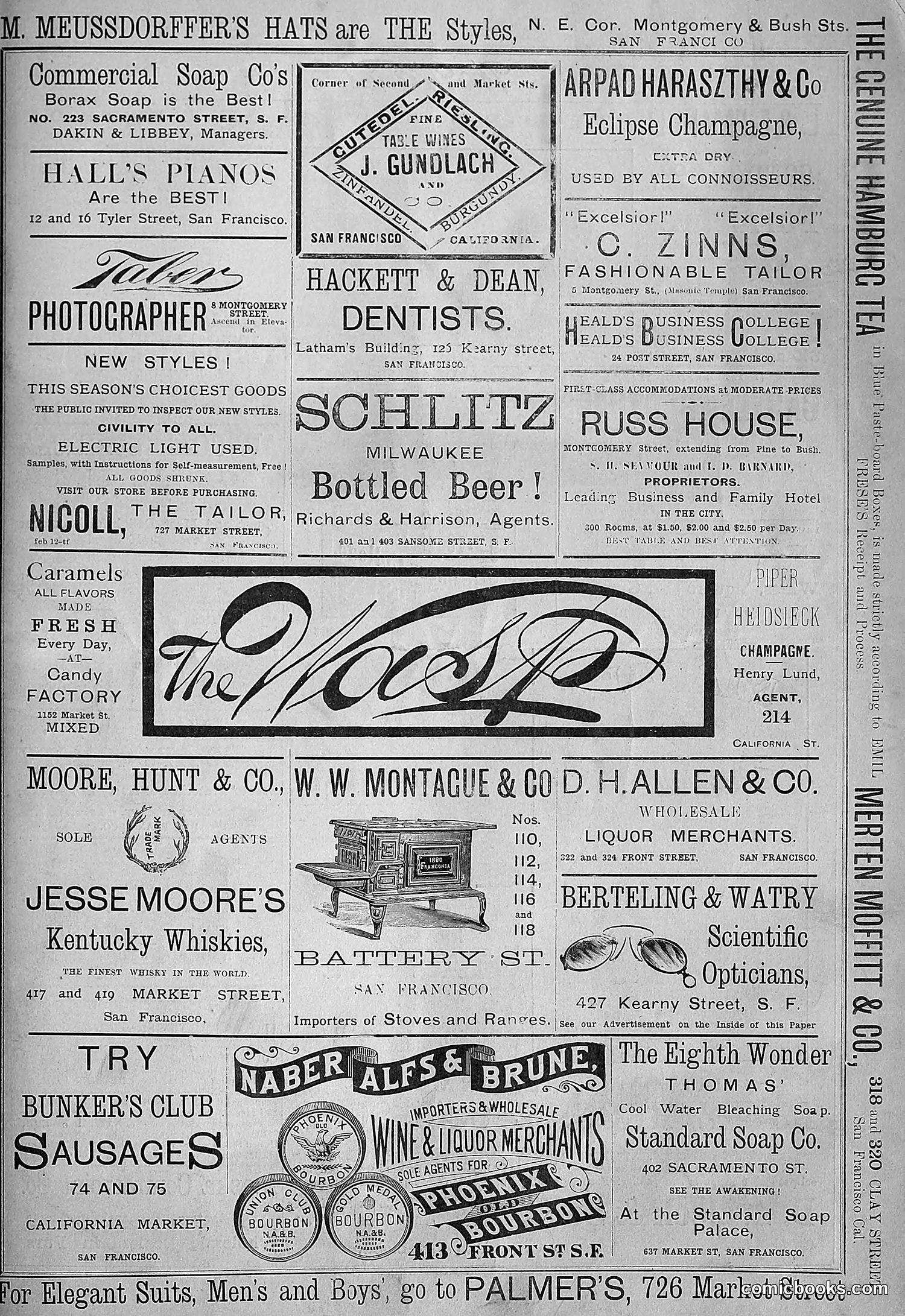 The Wasp — 1881 — page 248 of 532