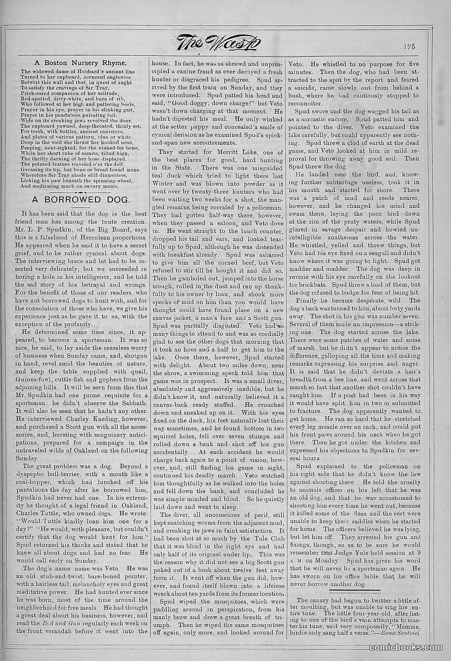The Wasp — 1881 — page 252 of 532
