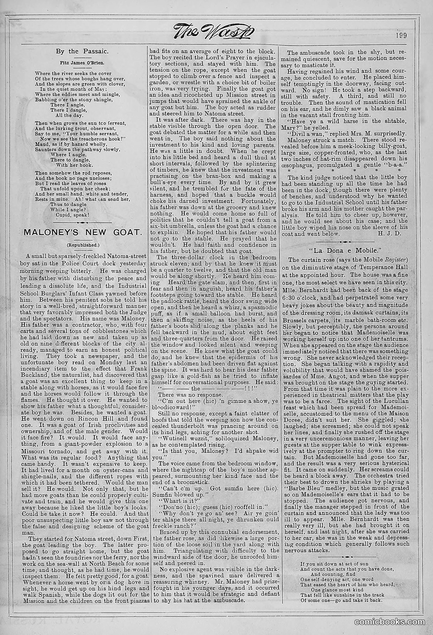 The Wasp — 1881 — page 256 of 532