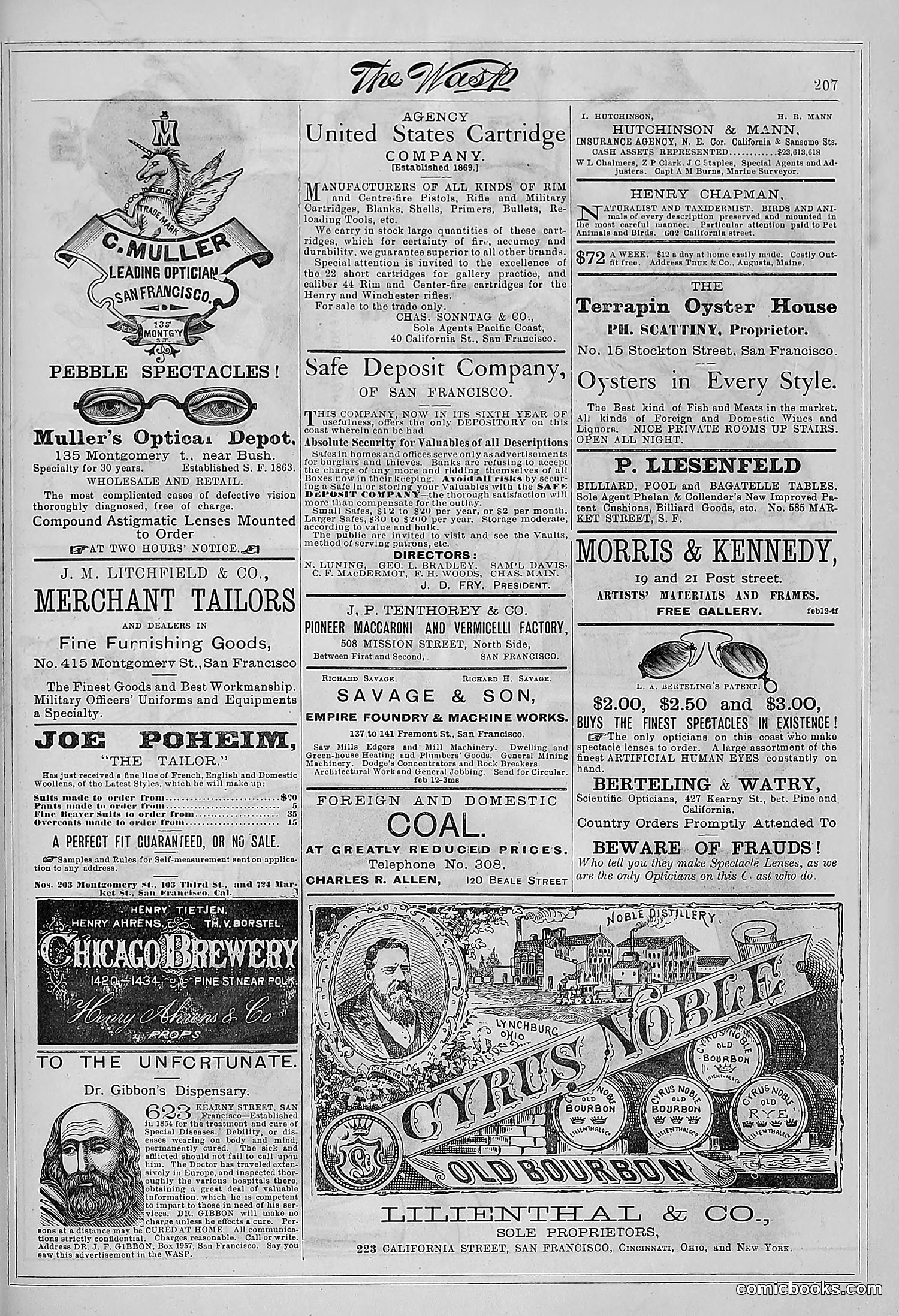 The Wasp — 1881 — page 264 of 532