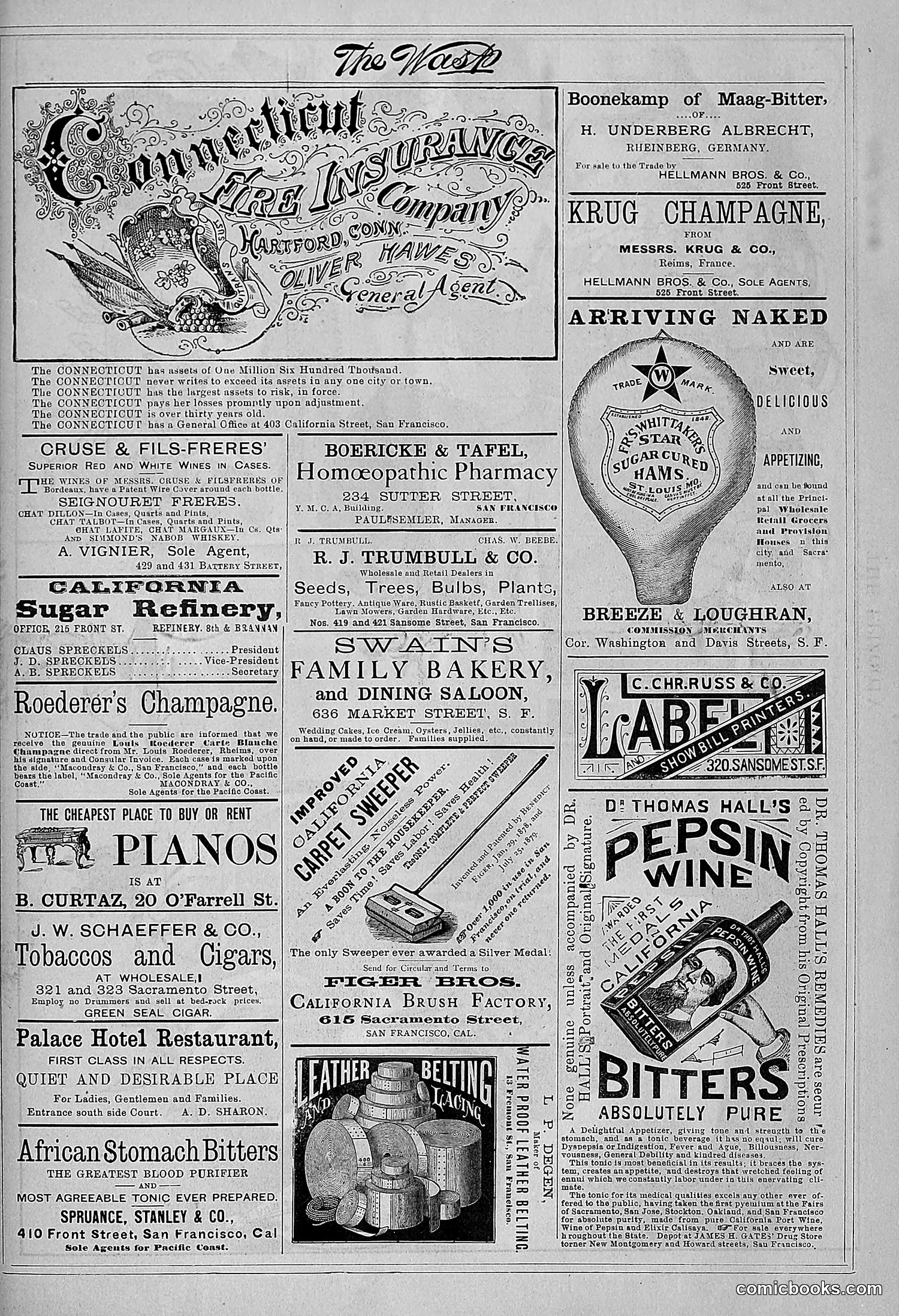 The Wasp — 1881 — page 266 of 532