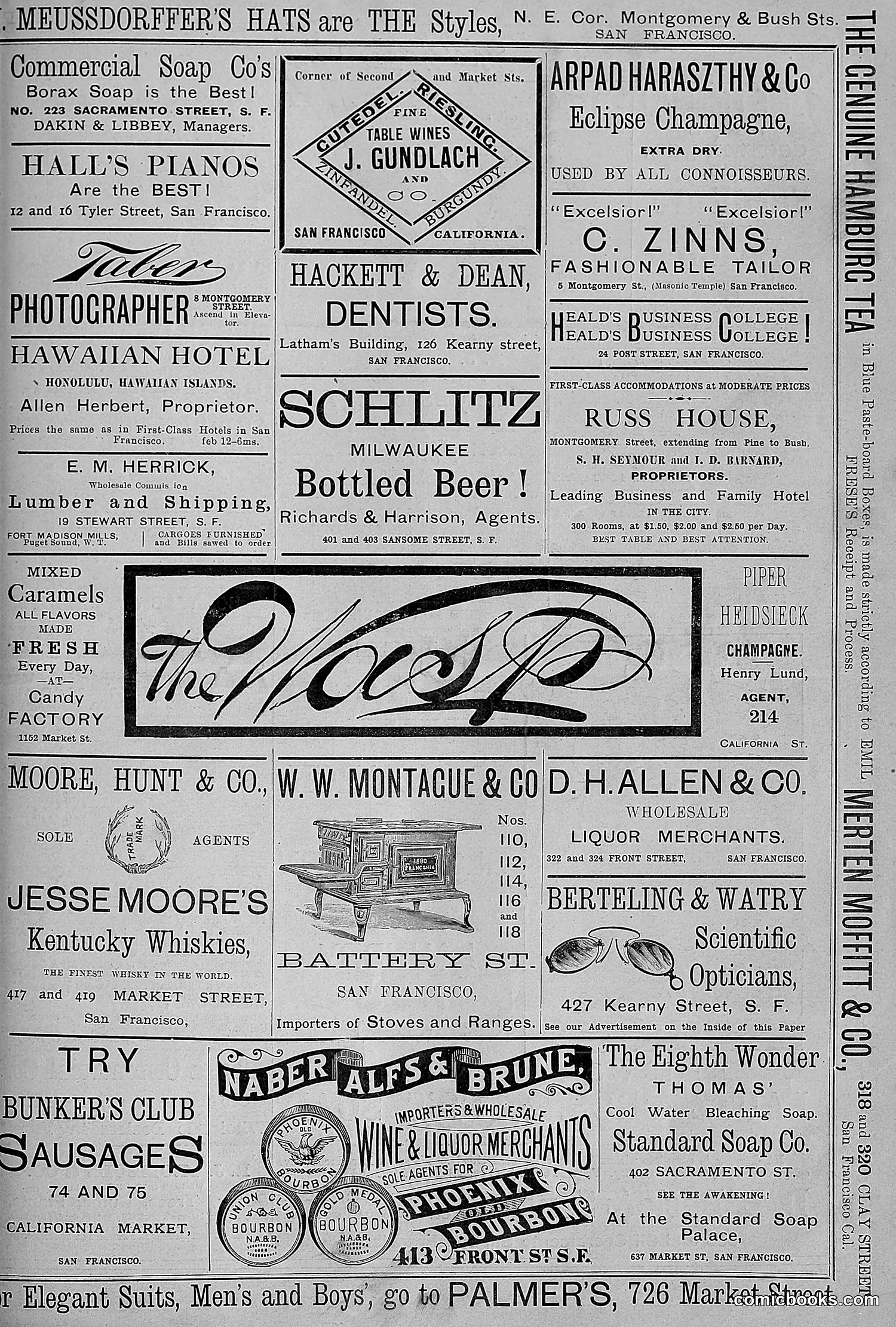 The Wasp — 1881 — page 268 of 532