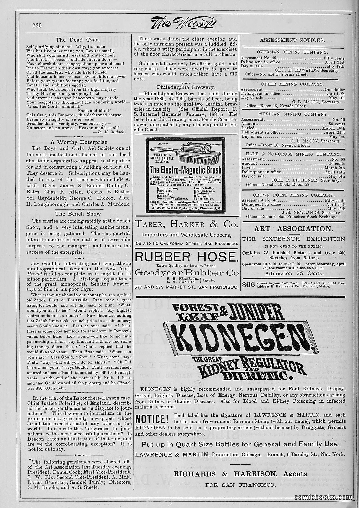 The Wasp — 1881 — page 281 of 532