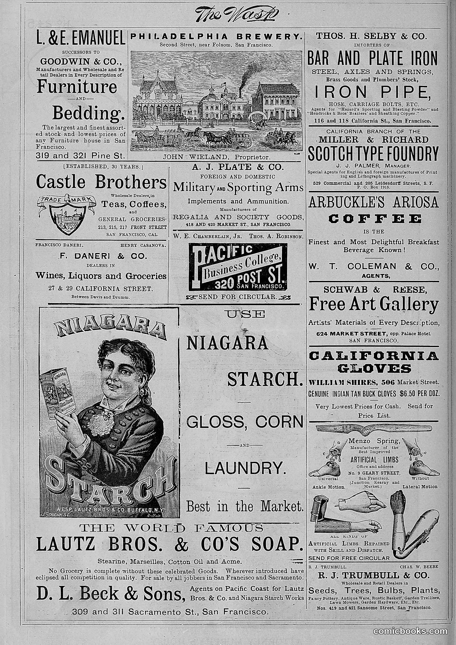 The Wasp — 1881 — page 289 of 532