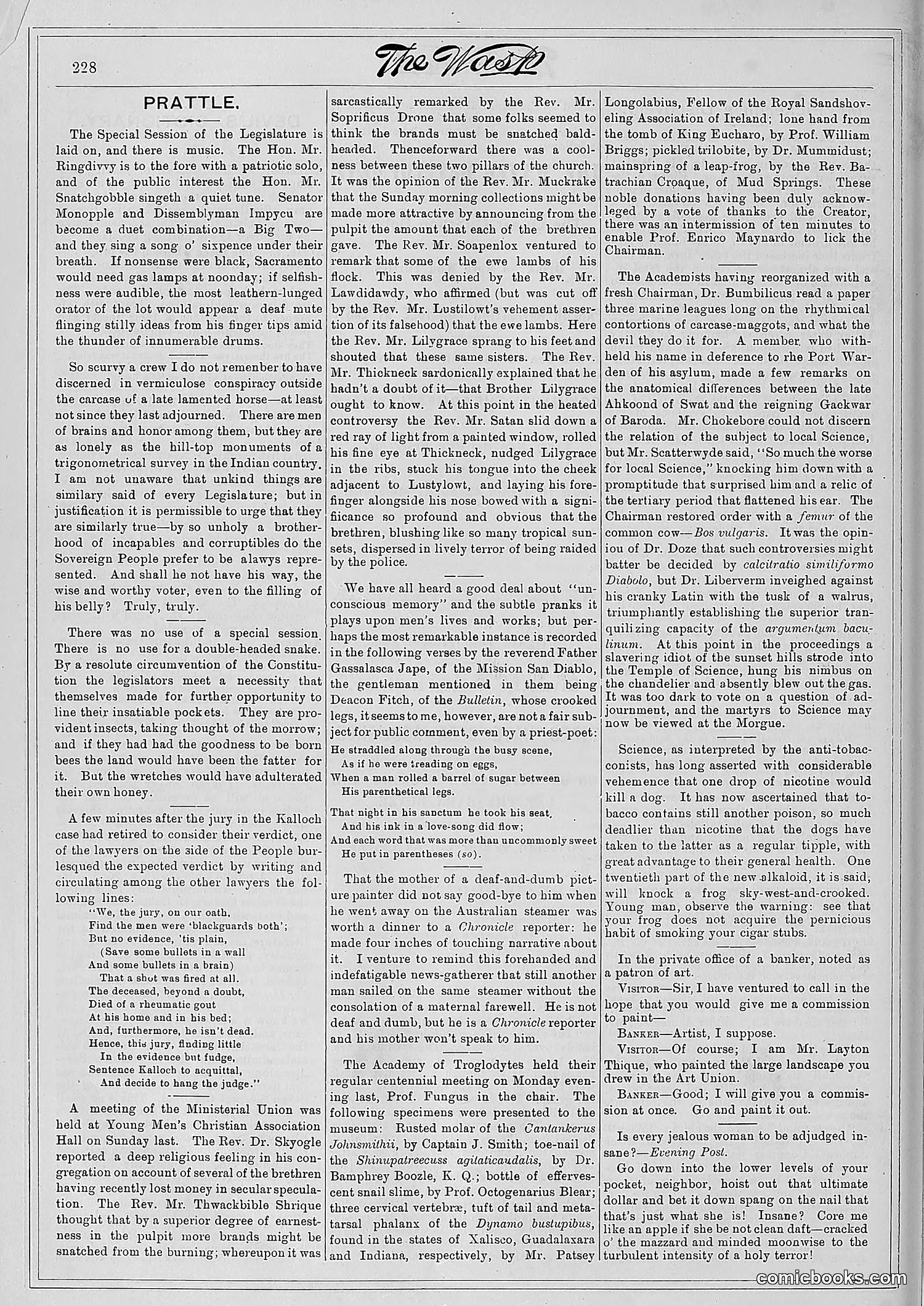 The Wasp — 1881 — page 293 of 532