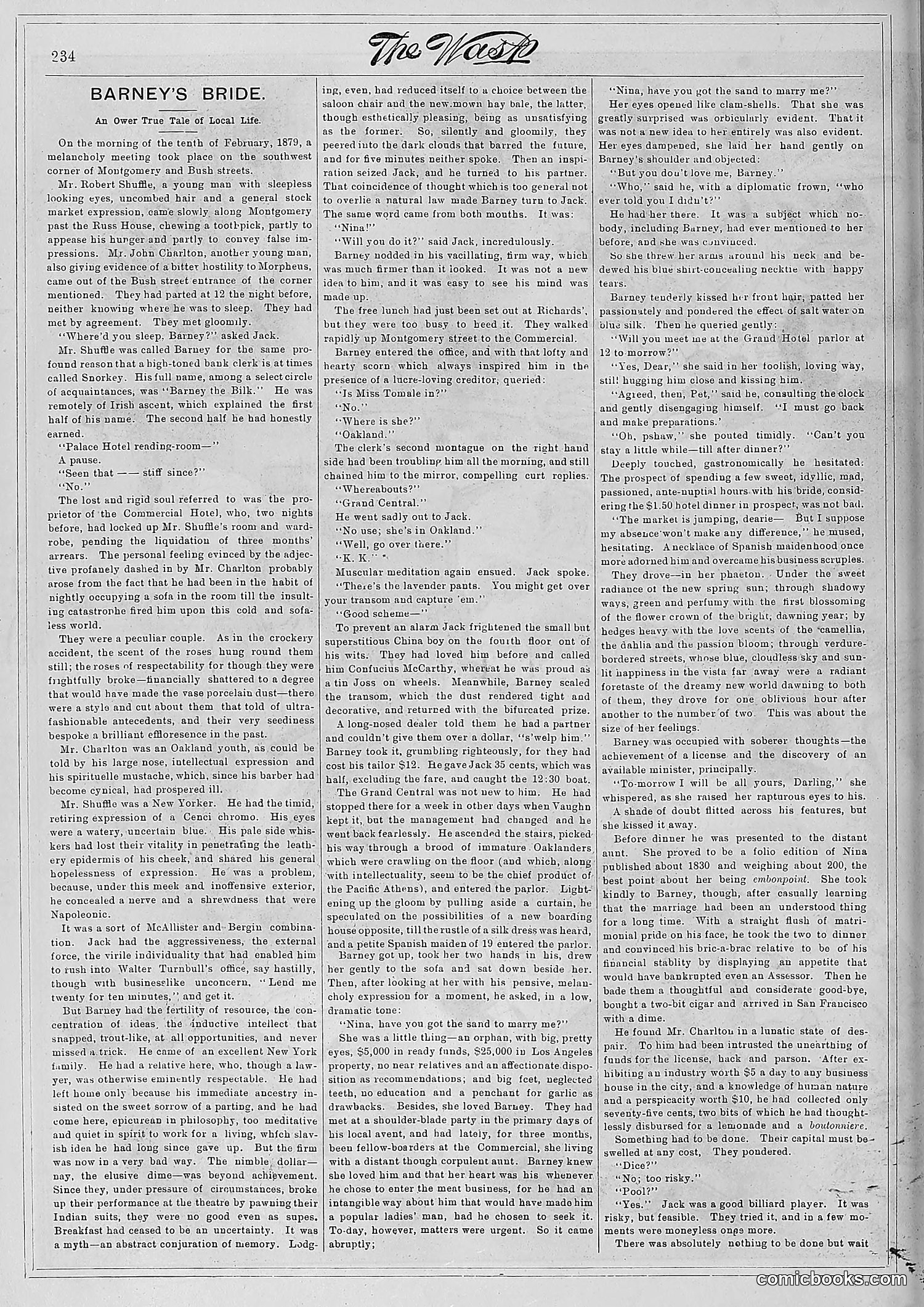 The Wasp — 1881 — page 299 of 532