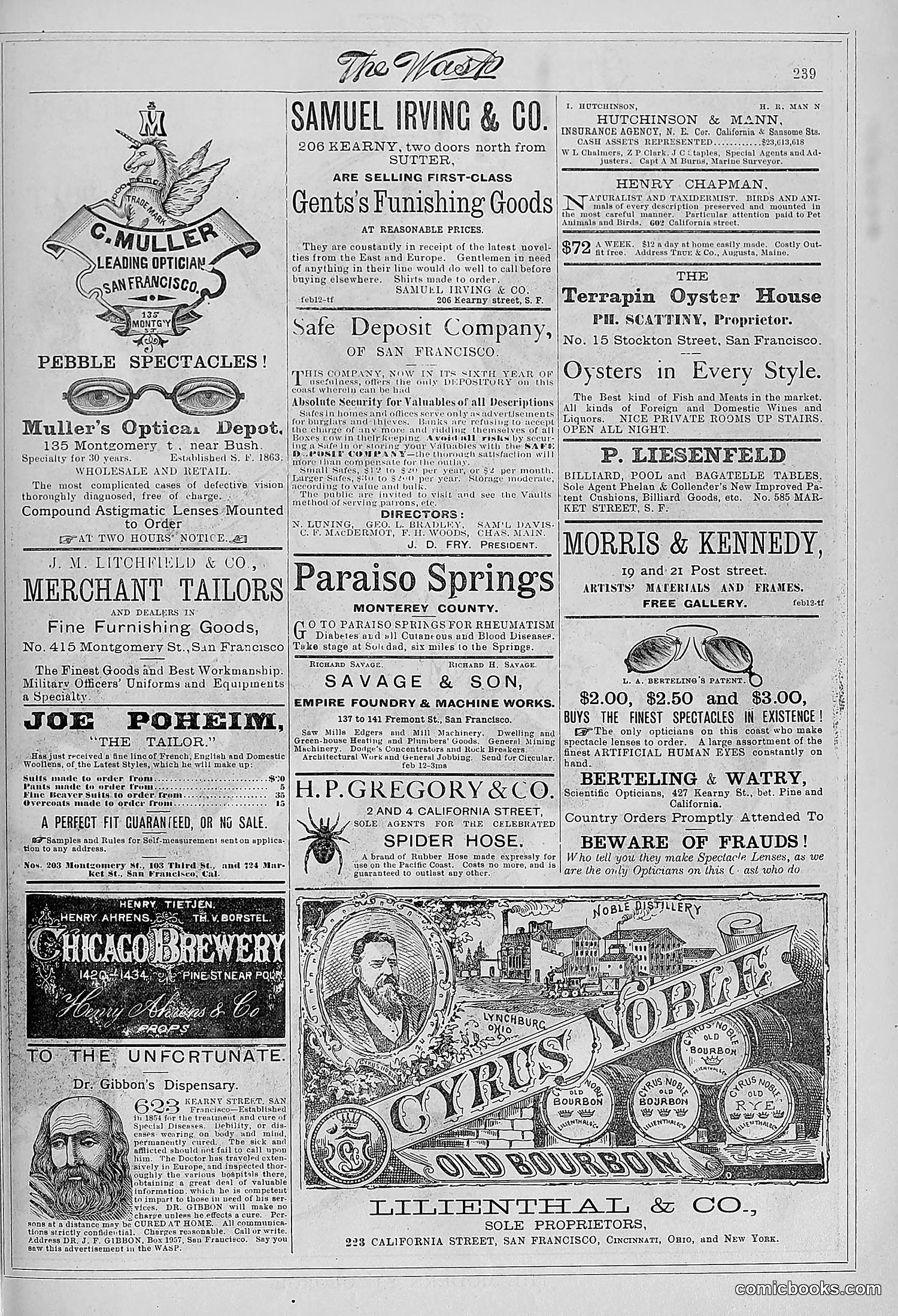 The Wasp — 1881 — page 304 of 532