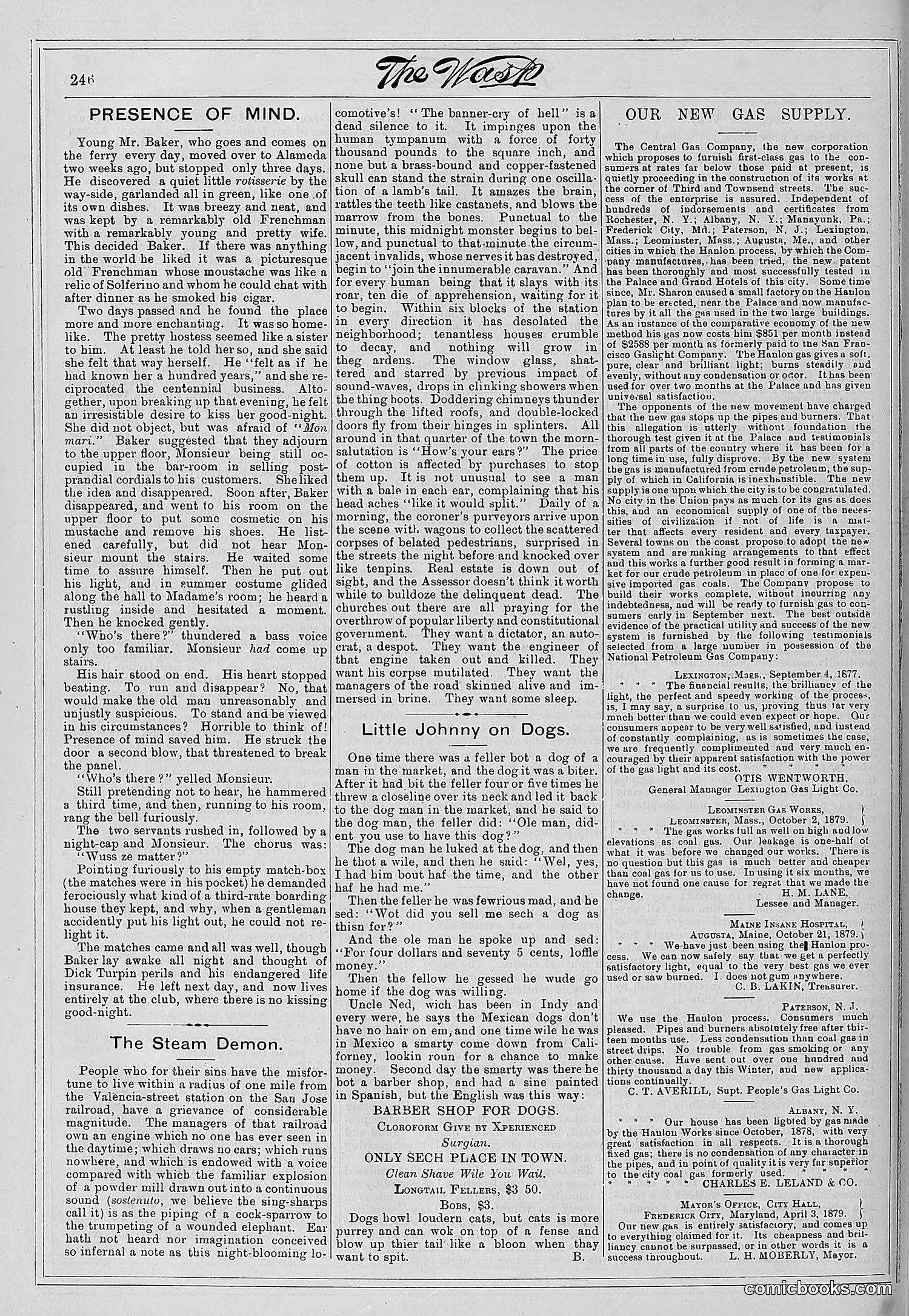 The Wasp — 1881 — page 315 of 532