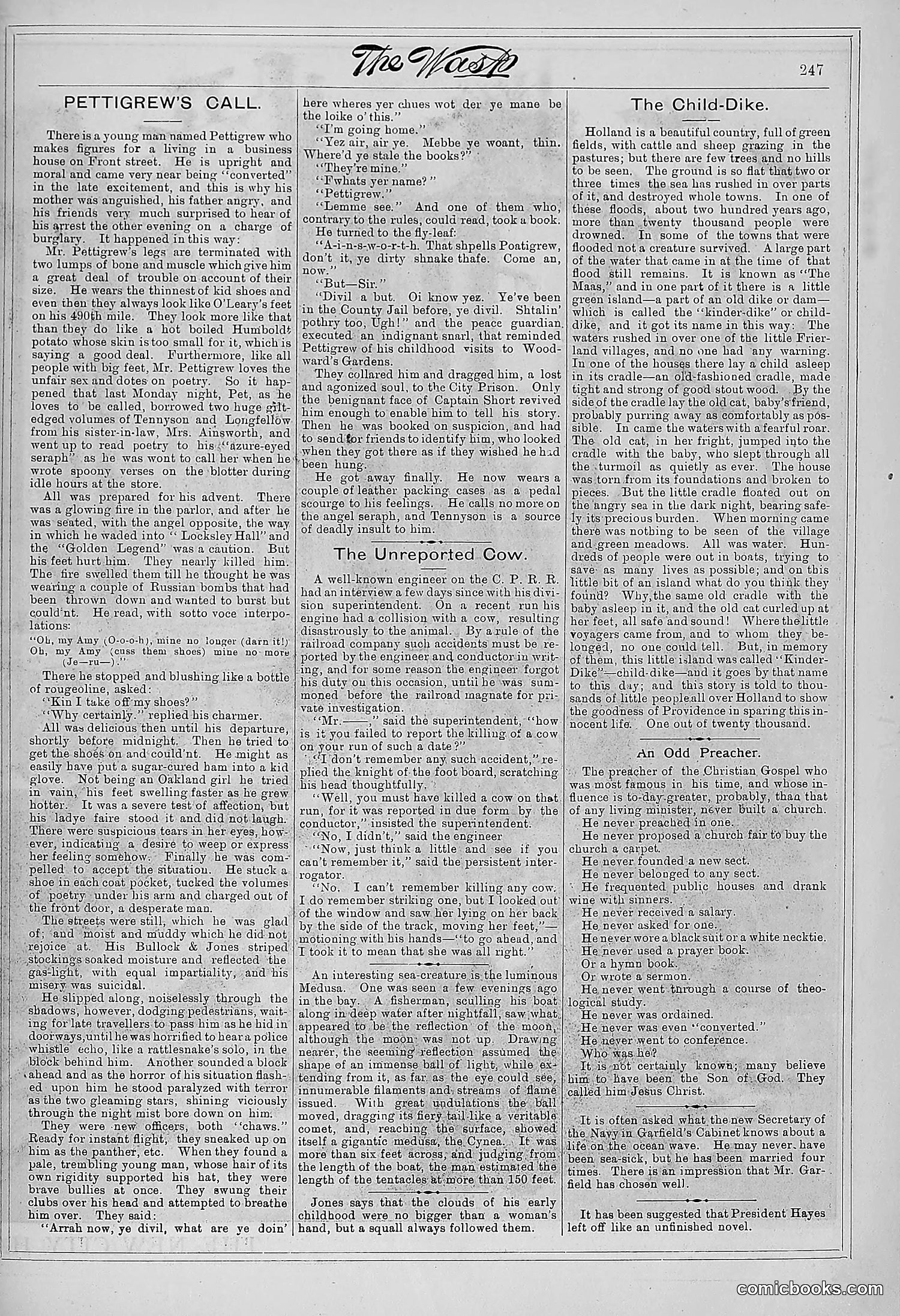 The Wasp — 1881 — page 316 of 532