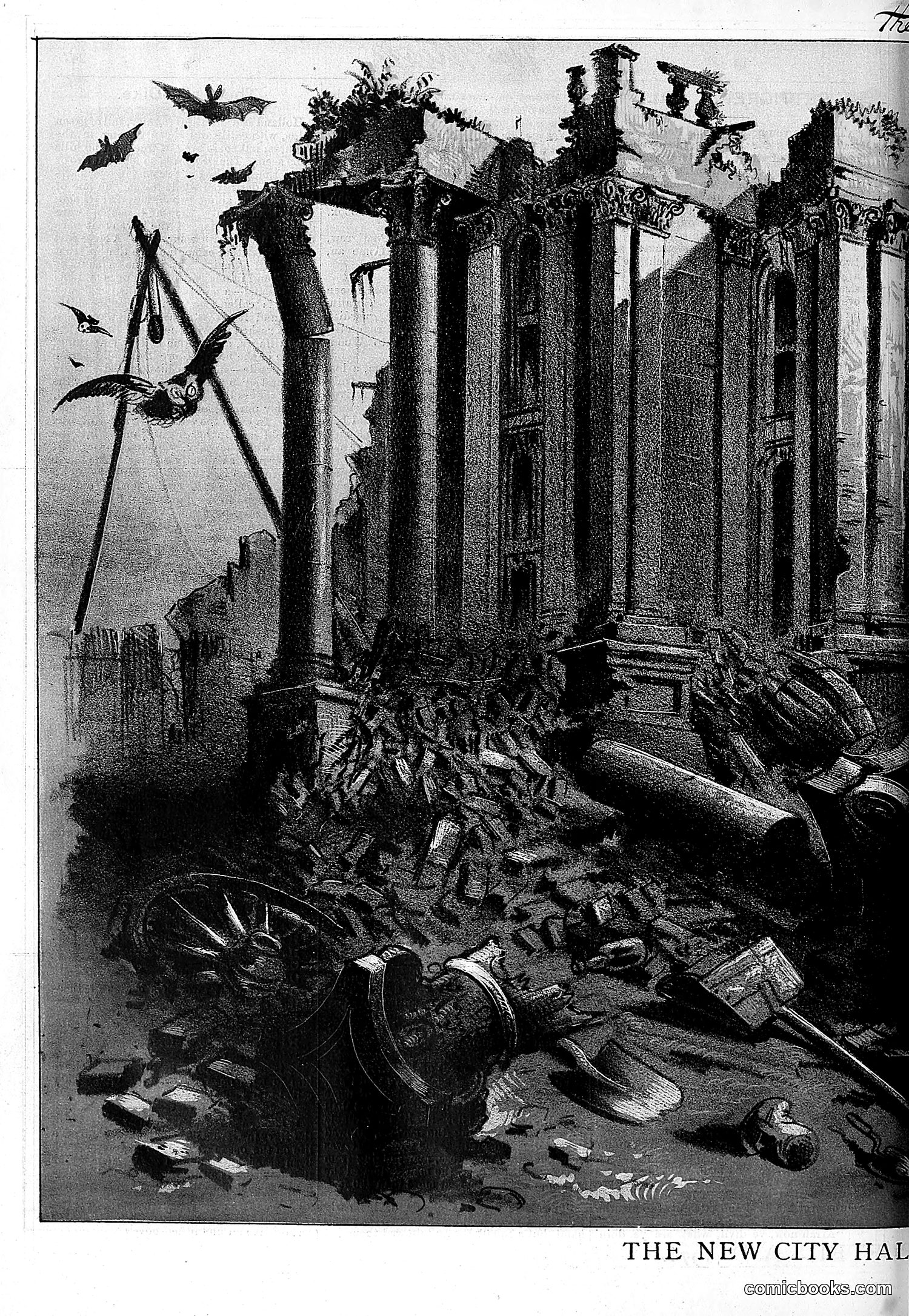 The Wasp — 1881 — page 317 of 532