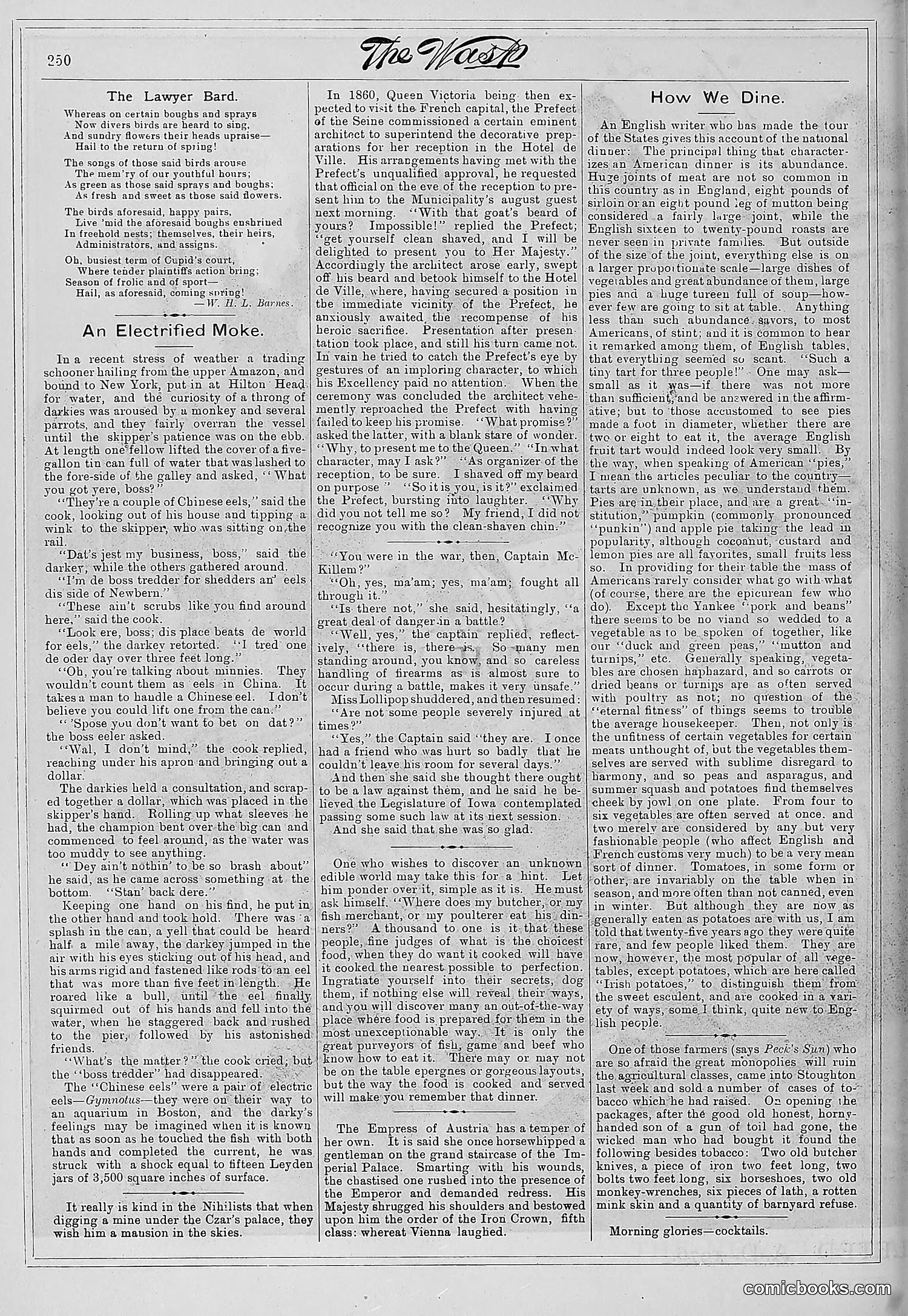 The Wasp — 1881 — page 319 of 532