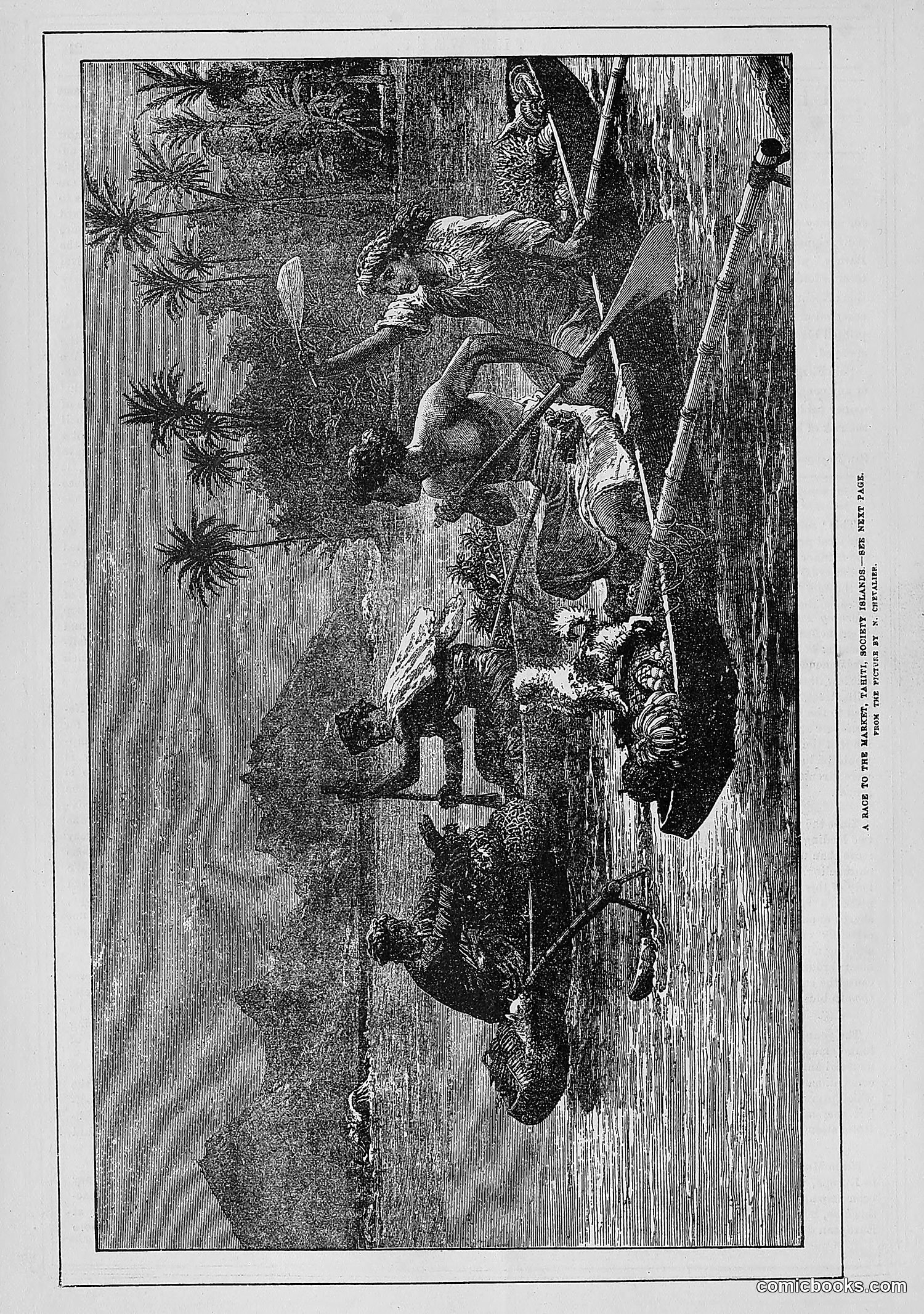 The Wasp — 1881 — page 35 of 532