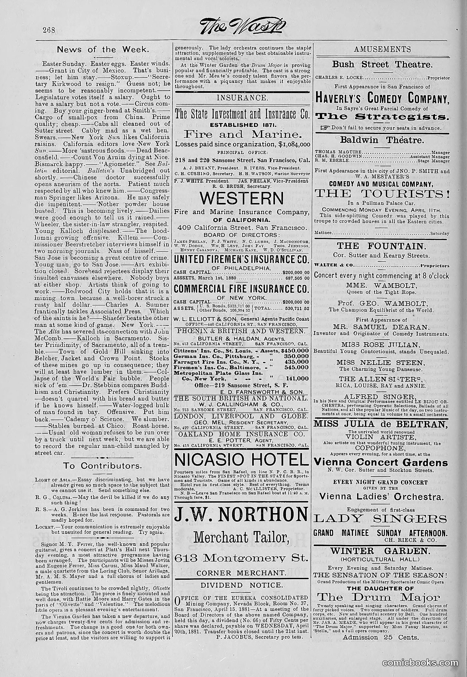 The Wasp — 1881 — page 341 of 532