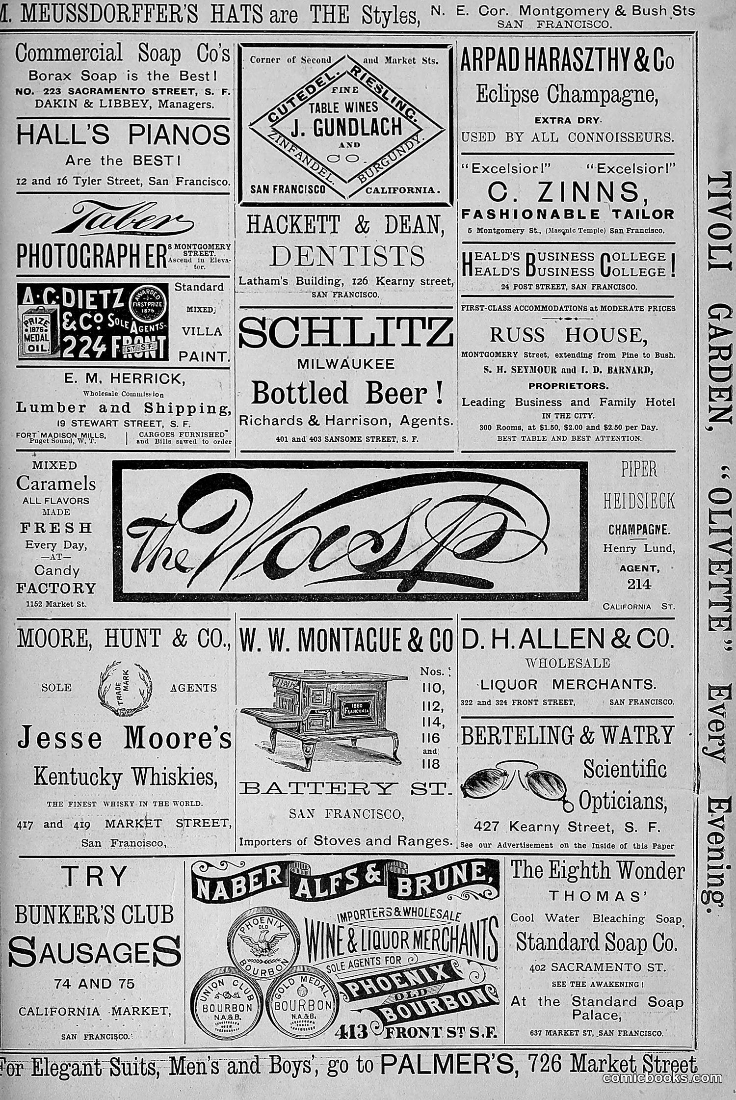 The Wasp — 1881 — page 348 of 532