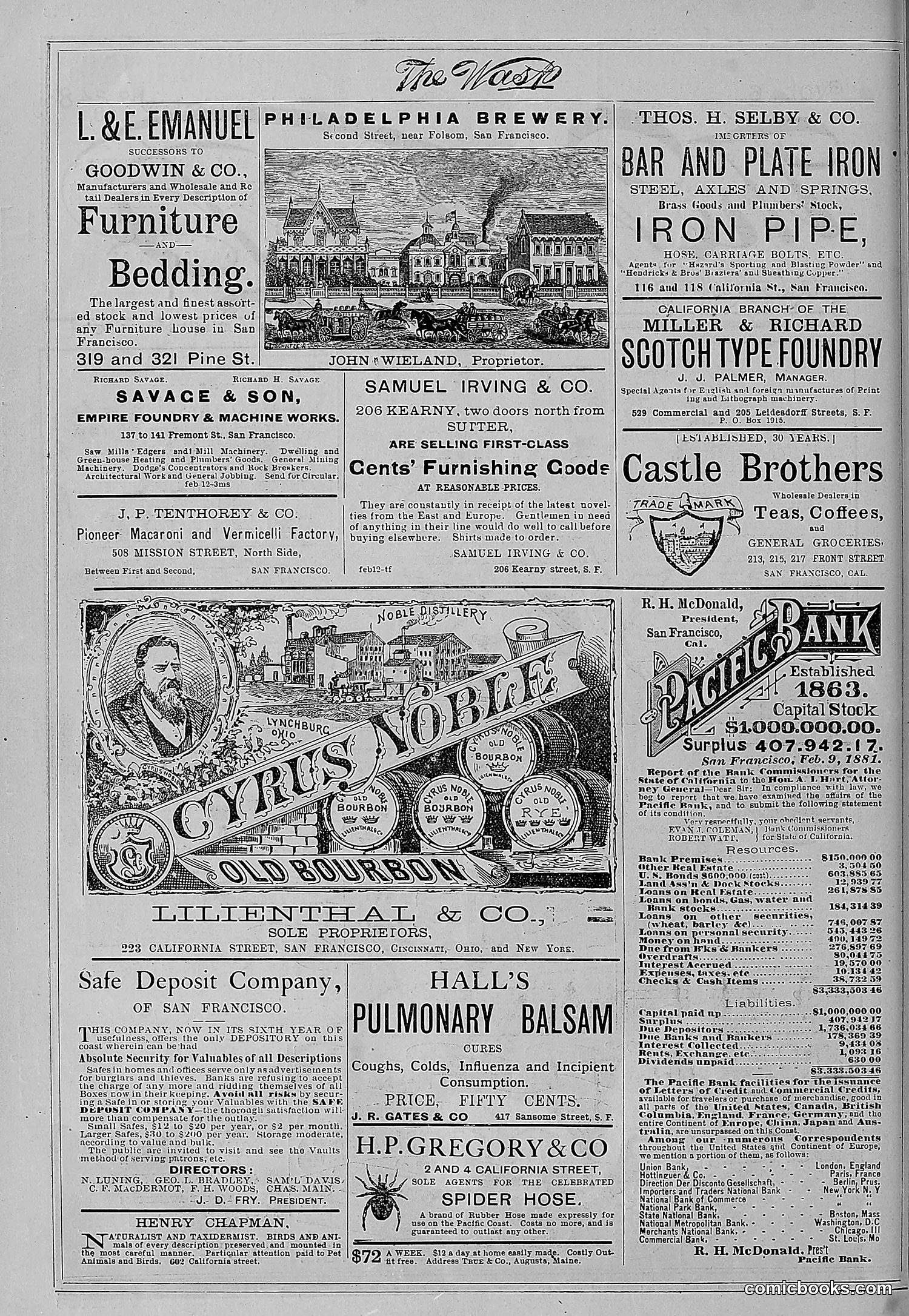 The Wasp — 1881 — page 349 of 532