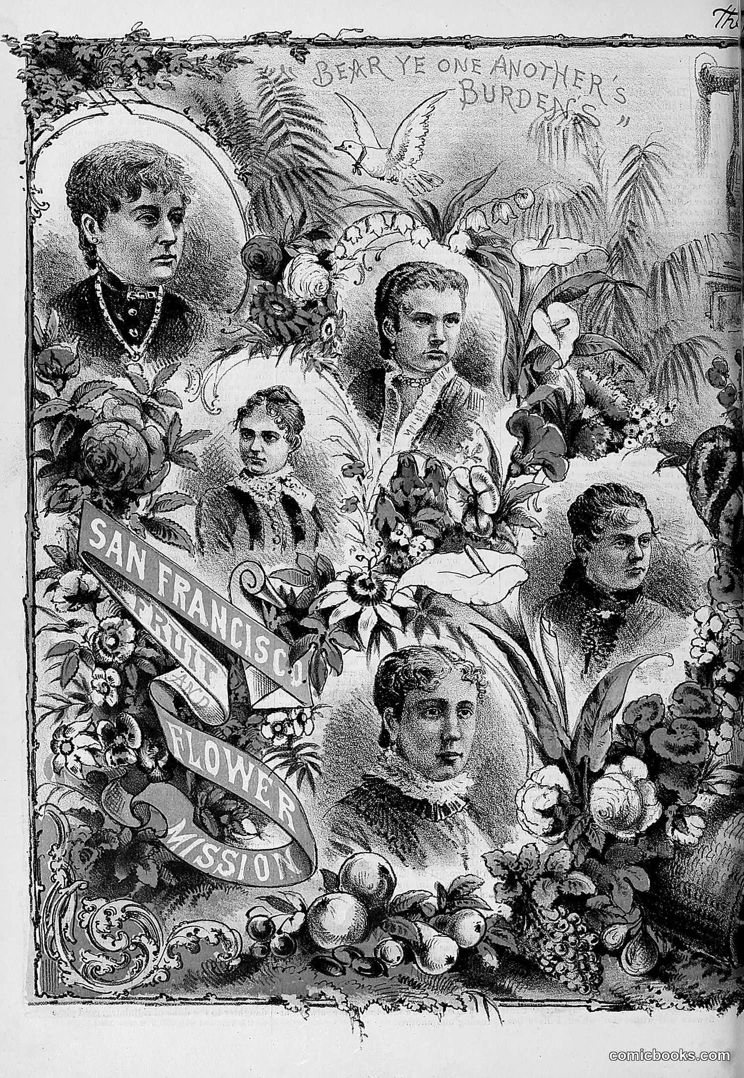 The Wasp — 1881 — page 357 of 532