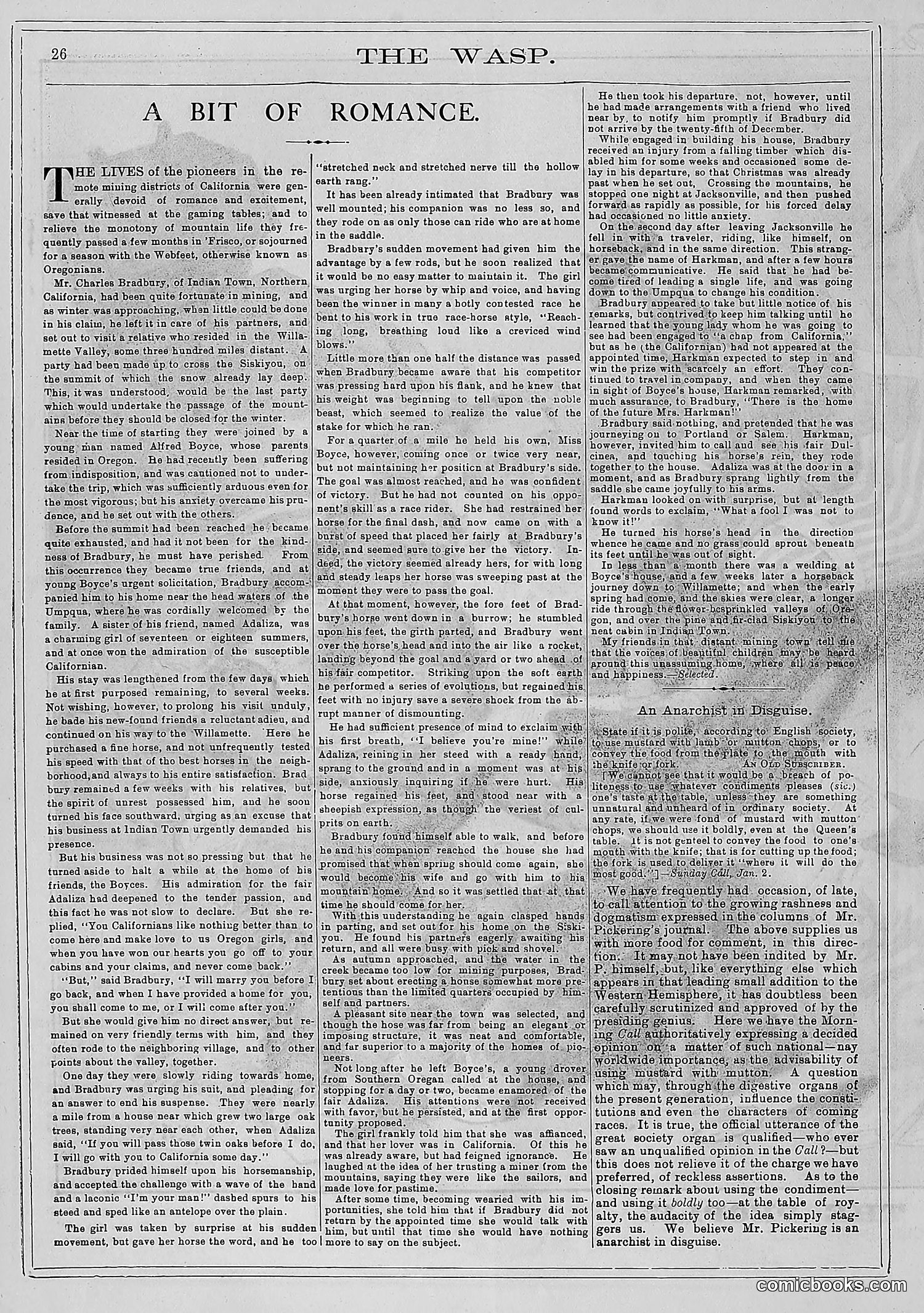 The Wasp — 1881 — page 39 of 532