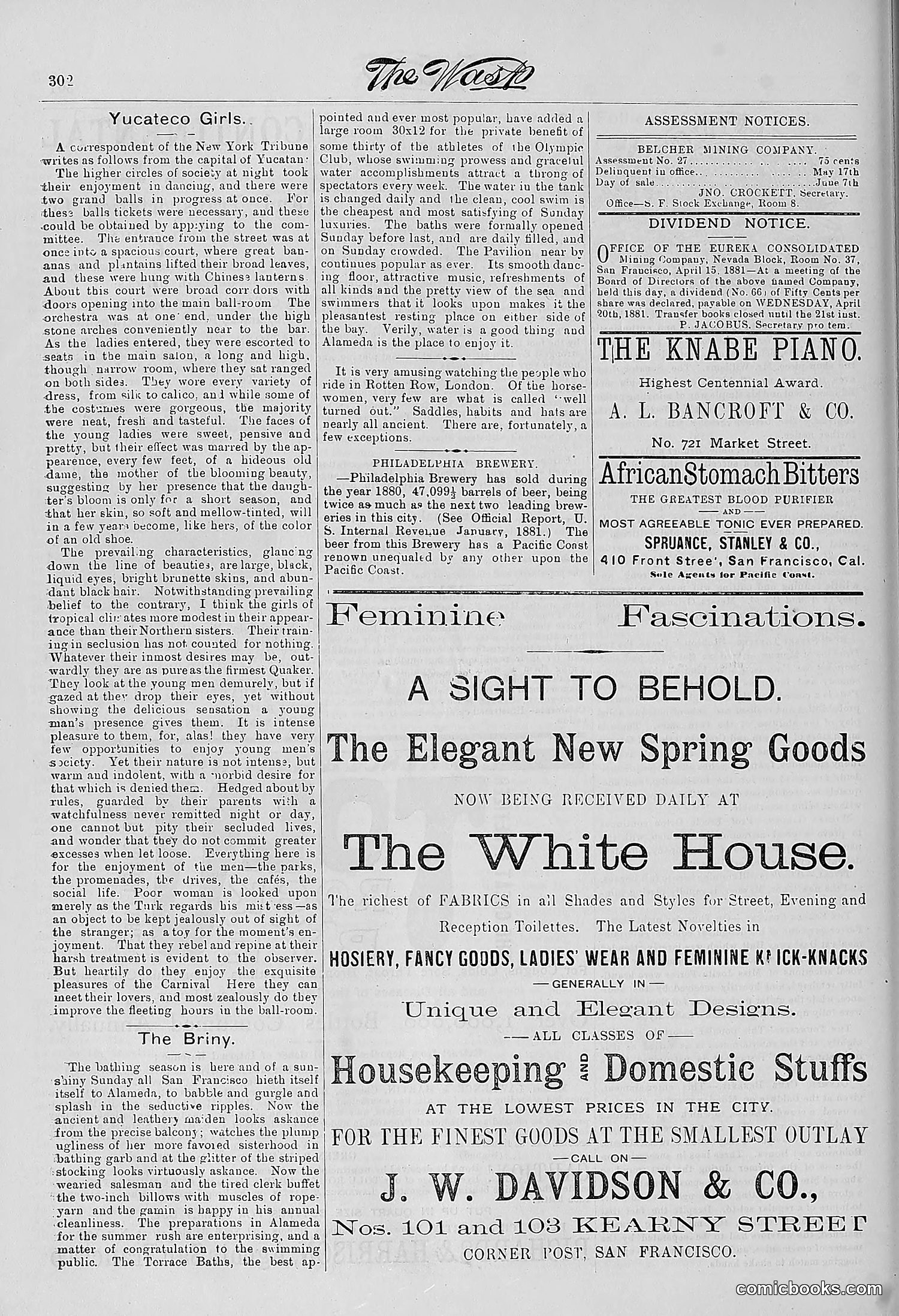 The Wasp — 1881 — page 381 of 532