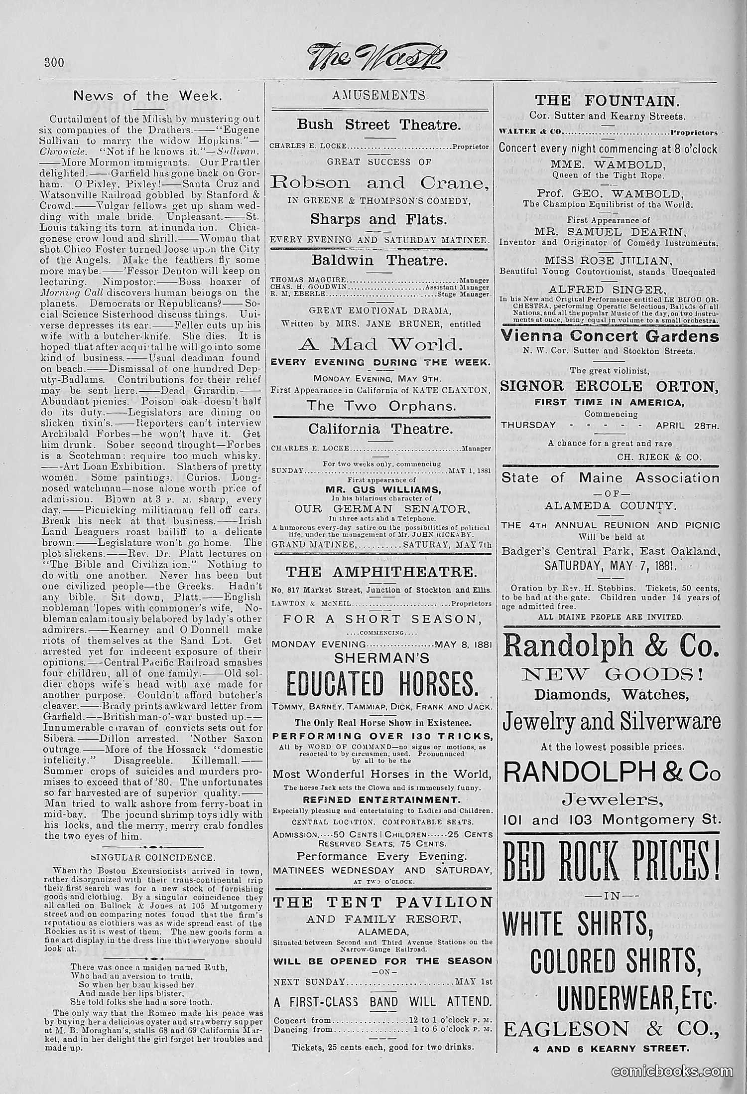The Wasp — 1881 — page 383 of 532