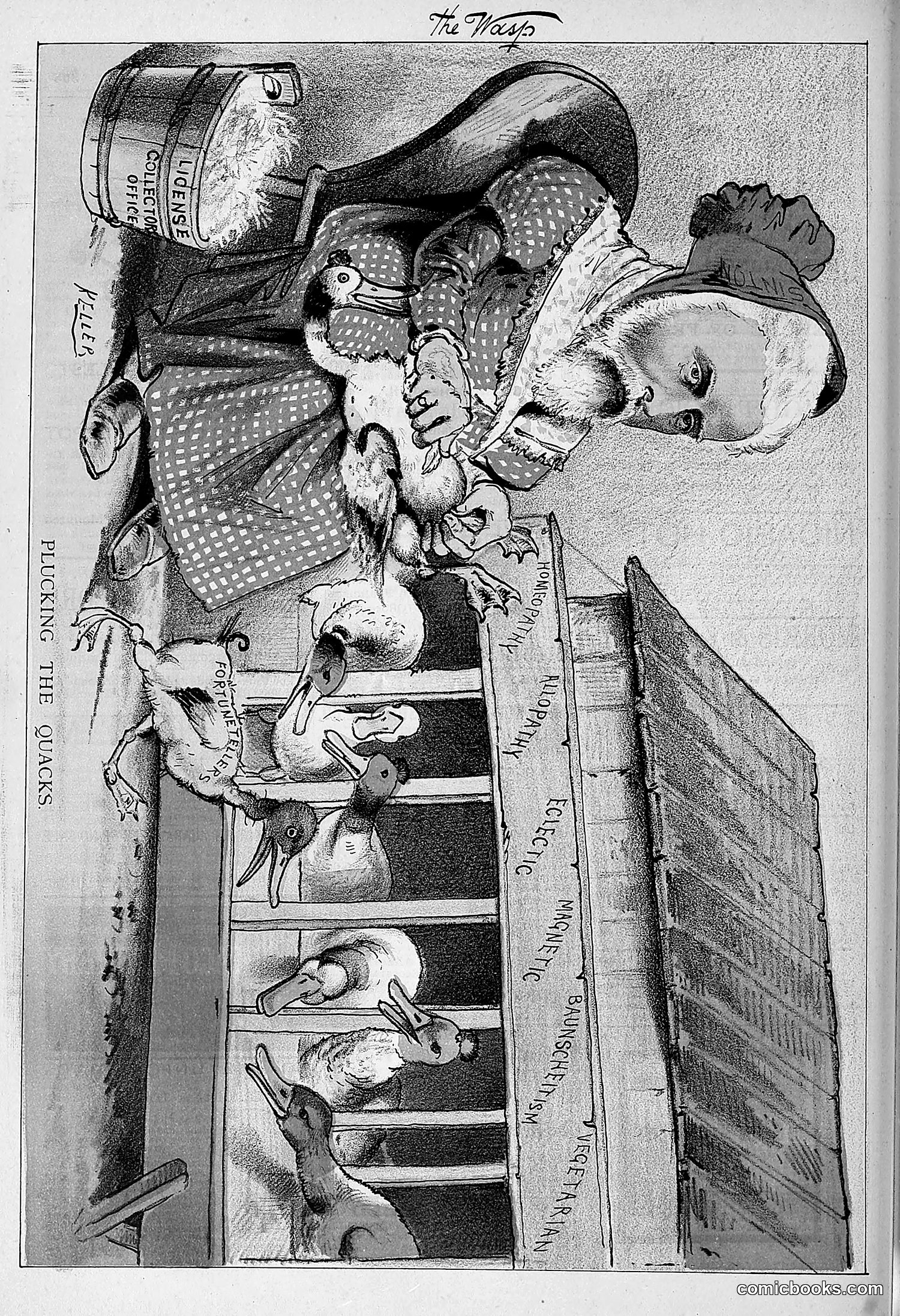 The Wasp — 1881 — page 385 of 532