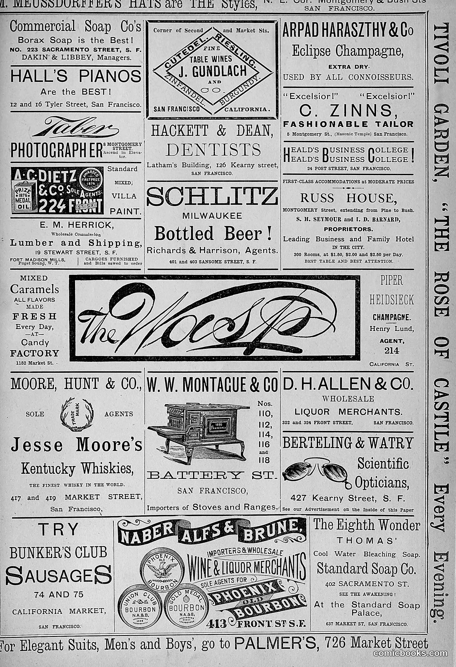 The Wasp — 1881 — page 388 of 532