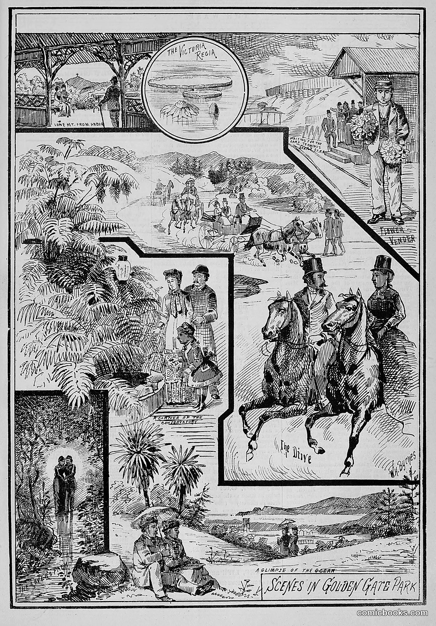 The Wasp — 1881 — page 40 of 532