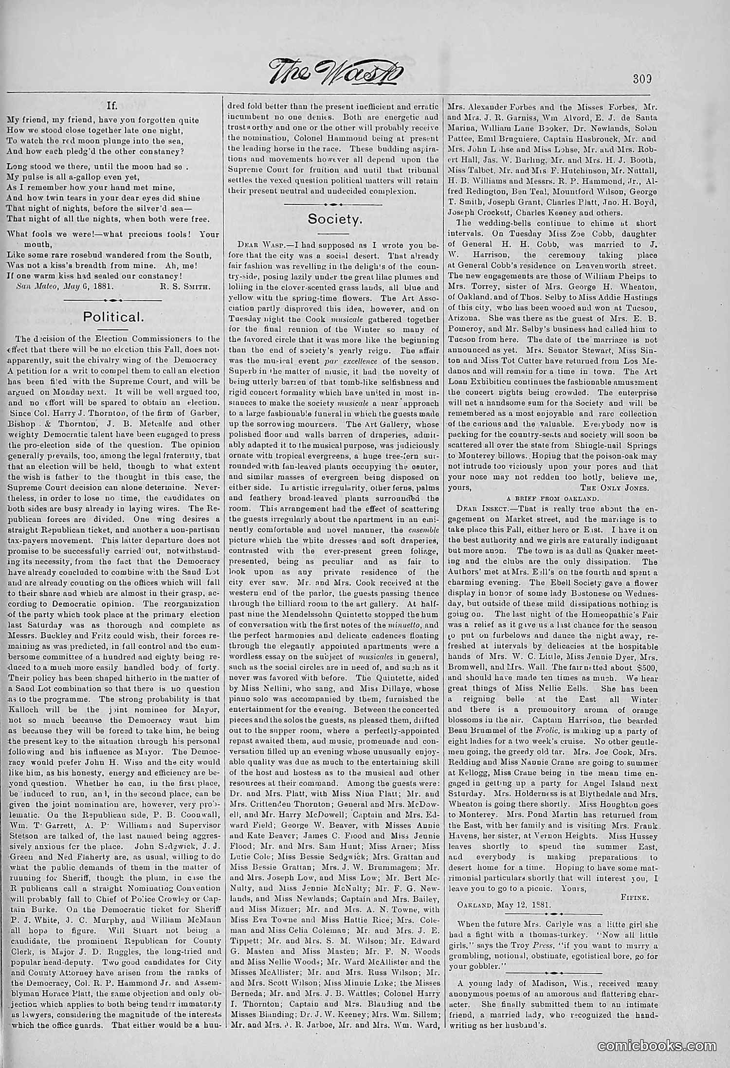 The Wasp — 1881 — page 394 of 532