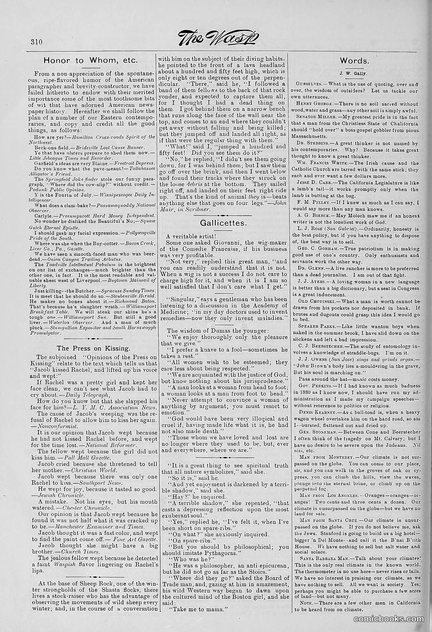 The Wasp — 1881 — page 395 of 532