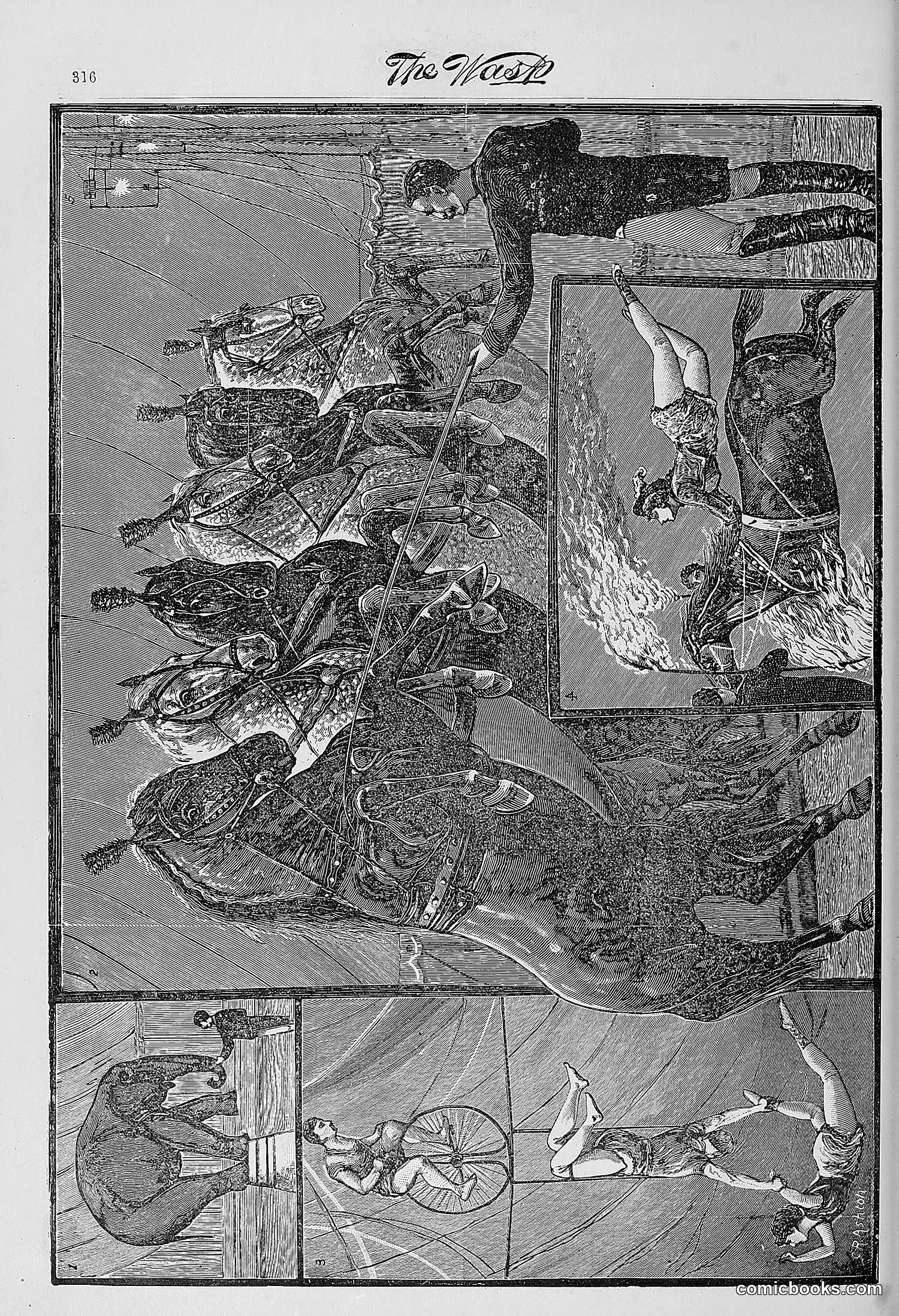 The Wasp — 1881 — page 401 of 532