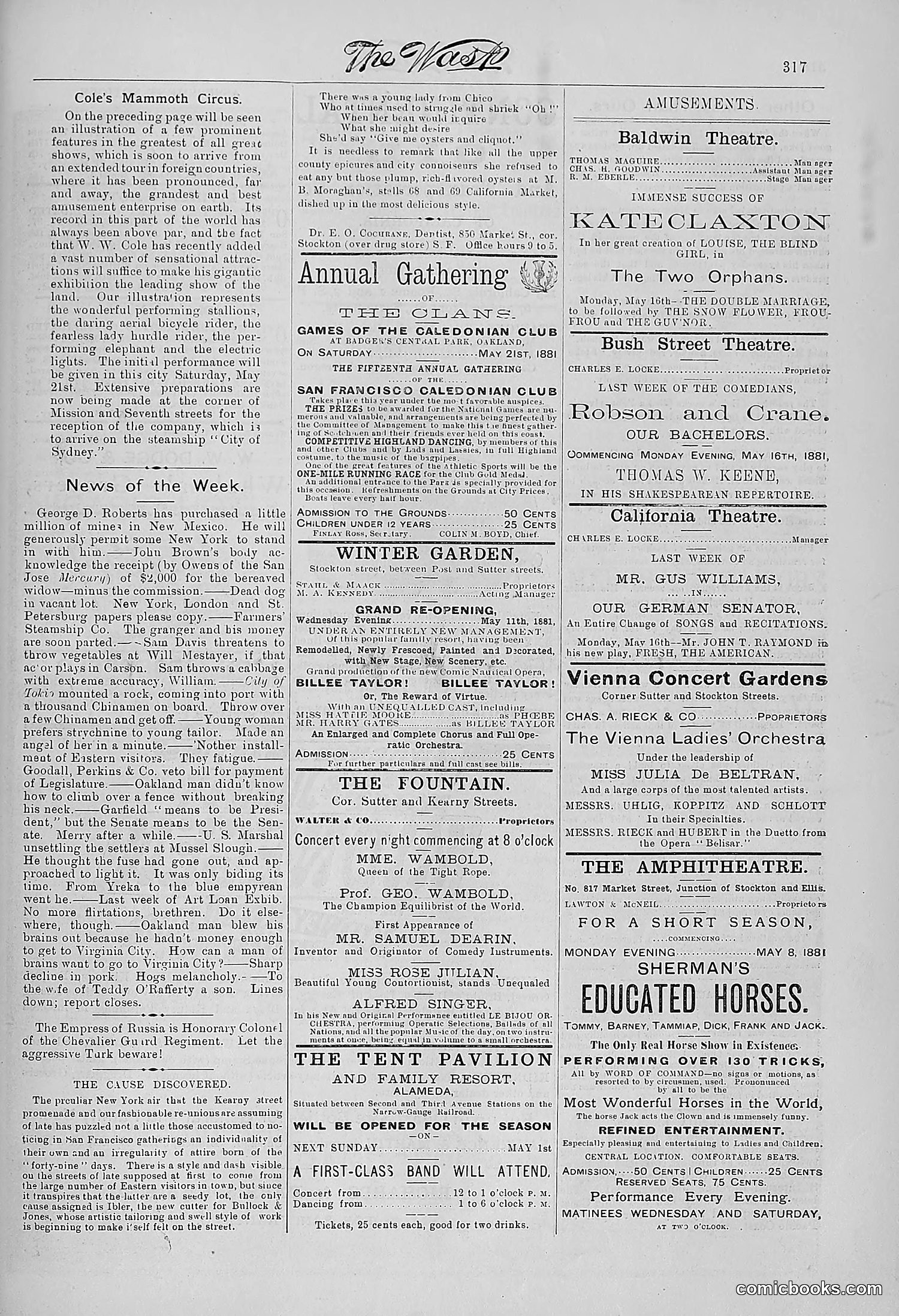 The Wasp — 1881 — page 402 of 532