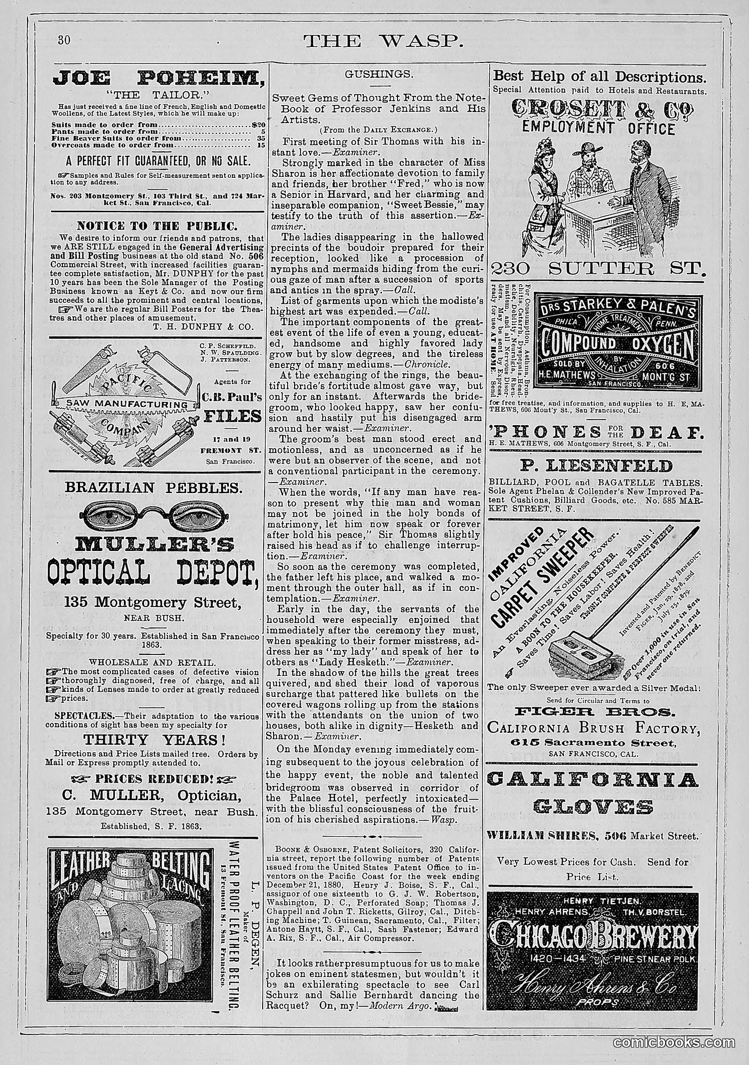 The Wasp — 1881 — page 43 of 532