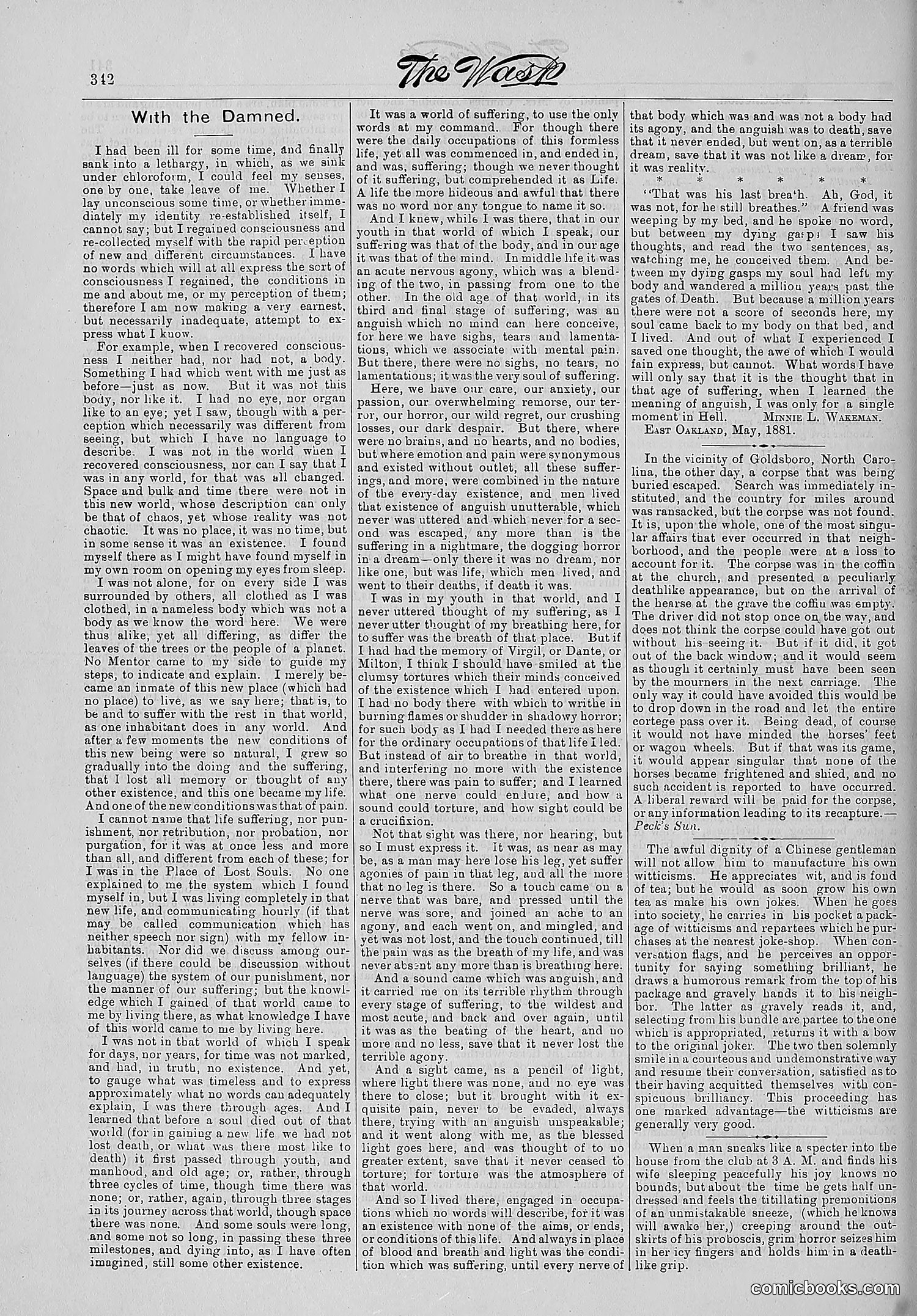 The Wasp — 1881 — page 435 of 532