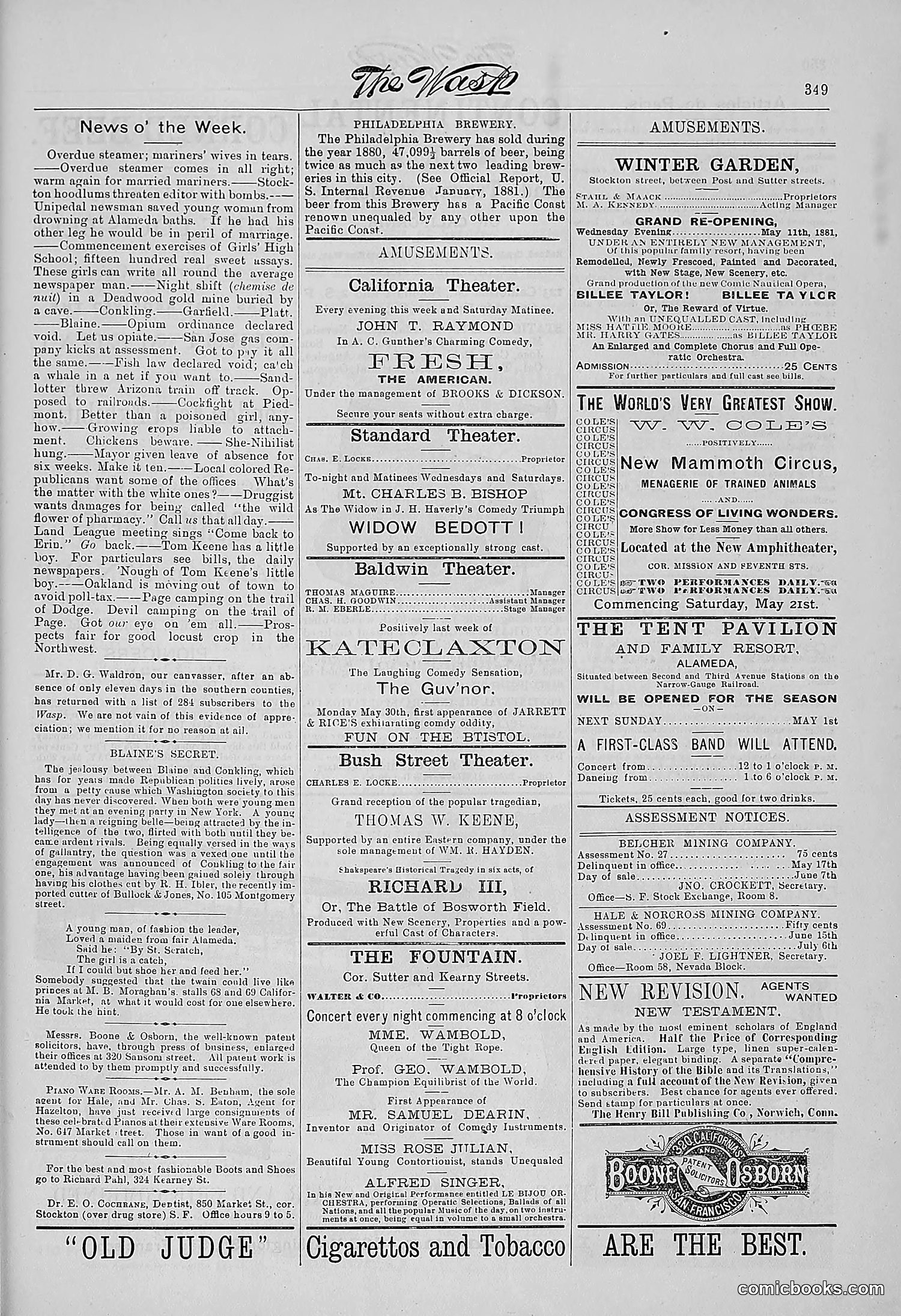 The Wasp — 1881 — page 442 of 532