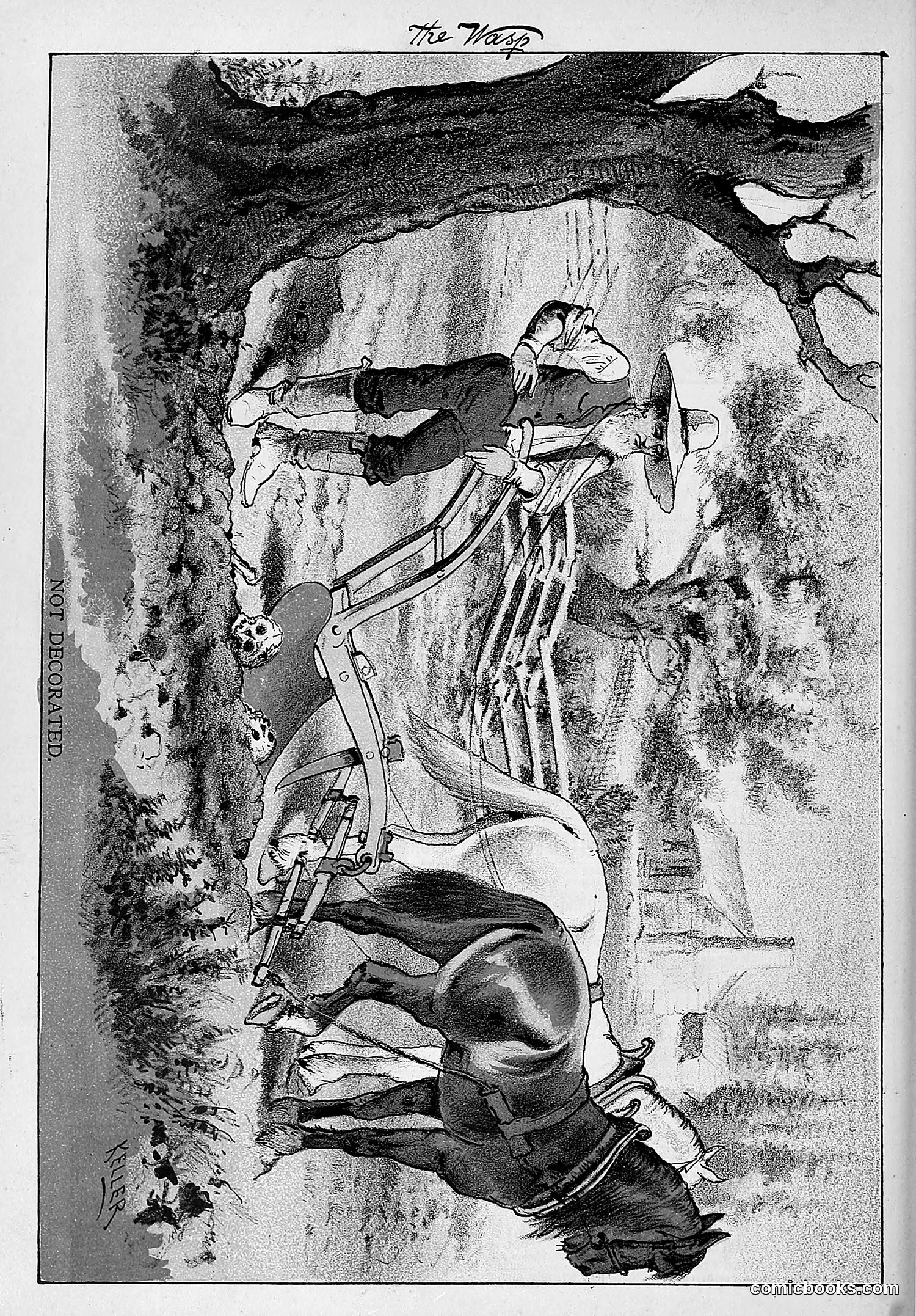 The Wasp — 1881 — page 445 of 532