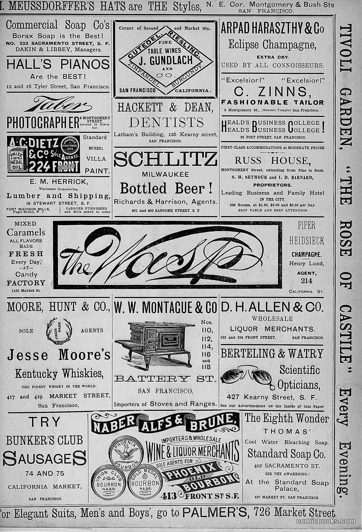The Wasp — 1881 — page 448 of 532