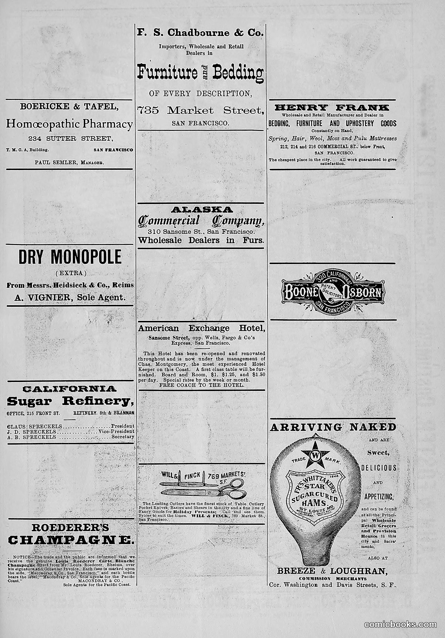The Wasp — 1881 — page 46 of 532