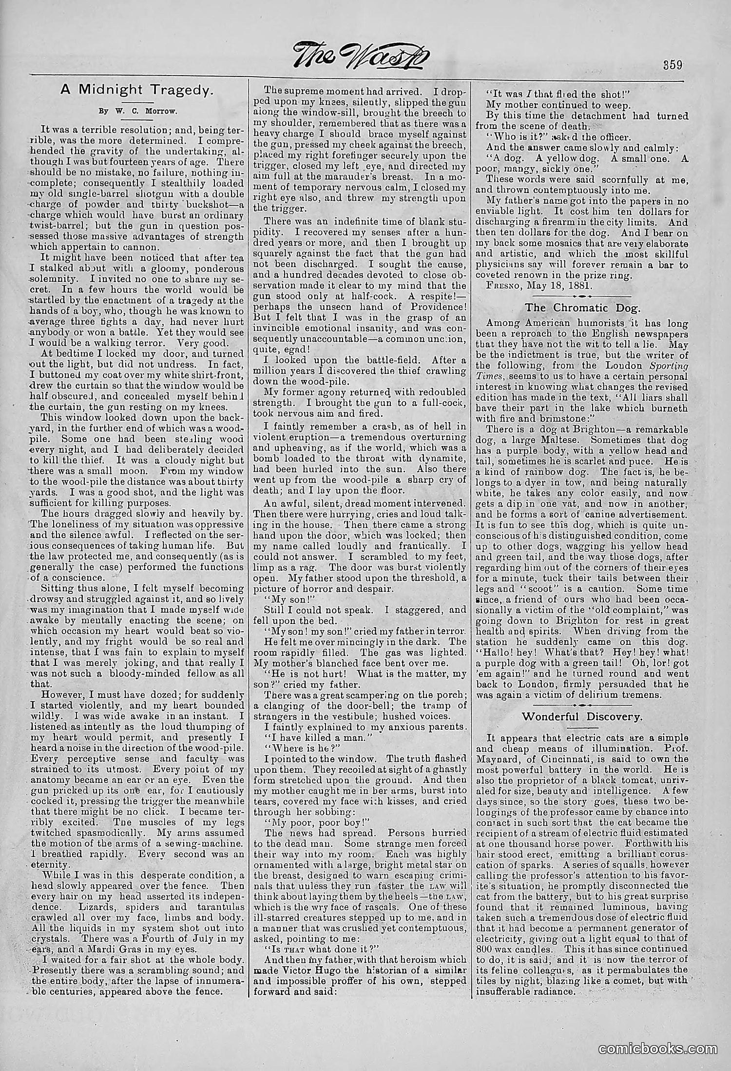 The Wasp — 1881 — page 456 of 532