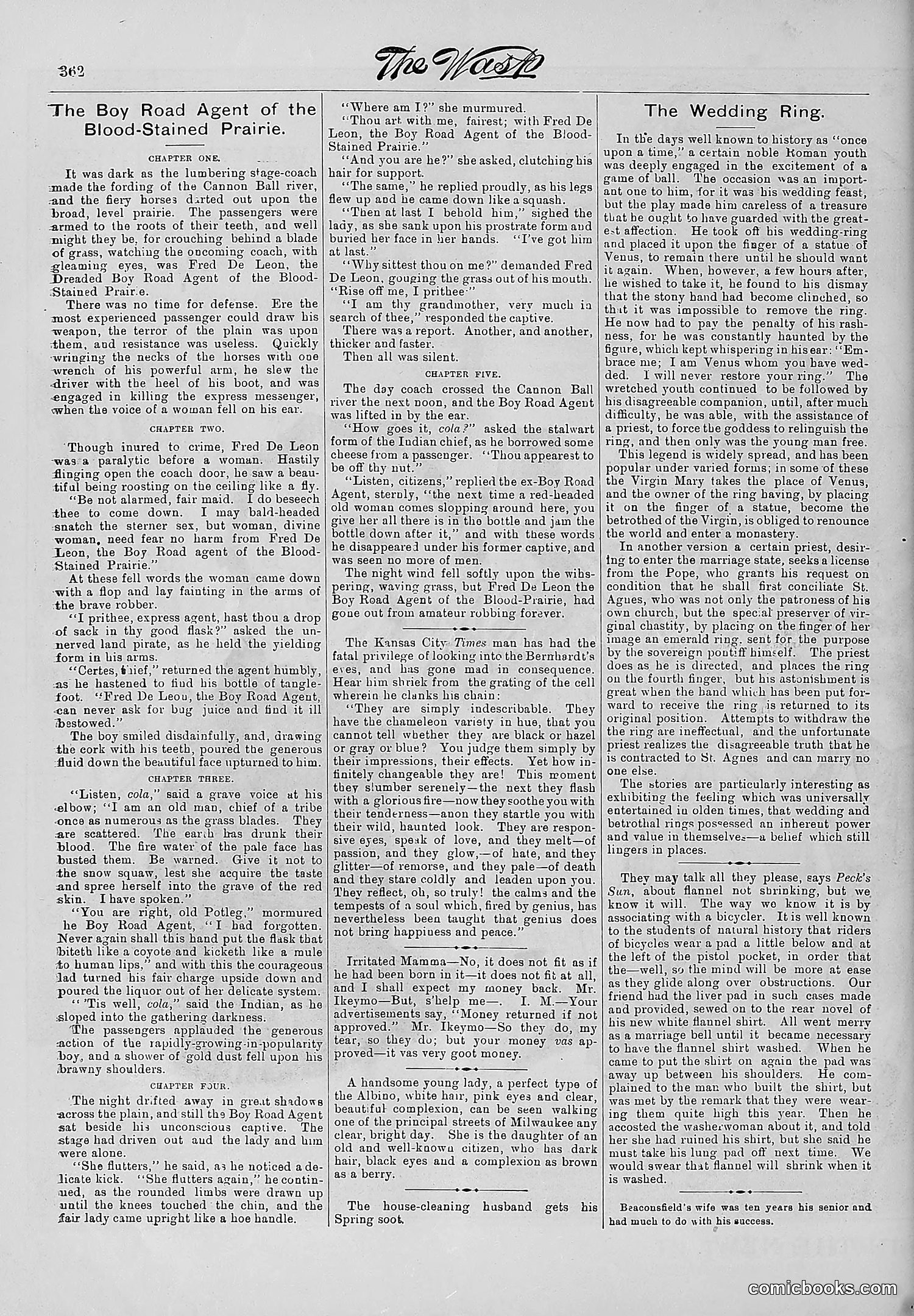 The Wasp — 1881 — page 459 of 532