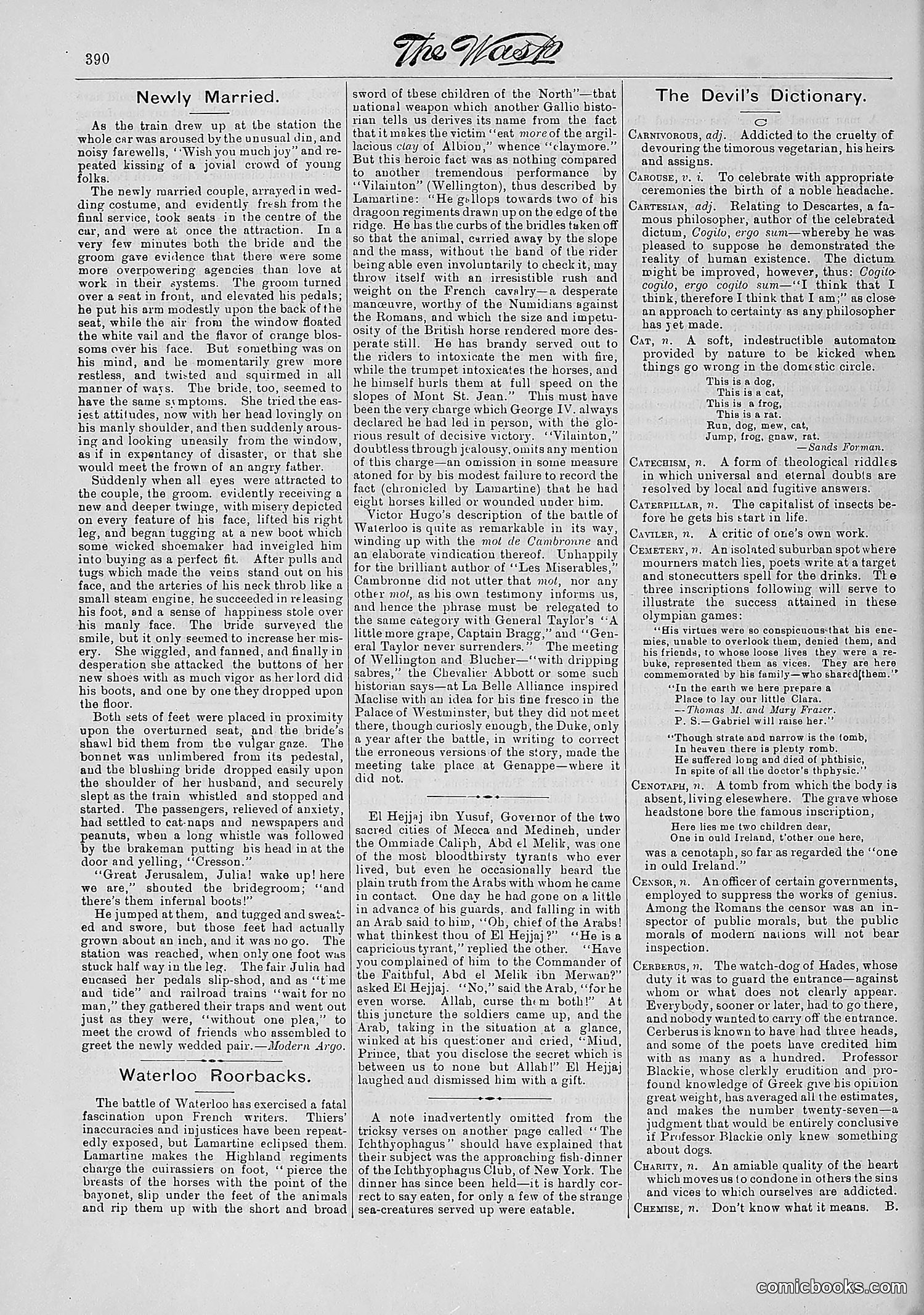 The Wasp — 1881 — page 495 of 532