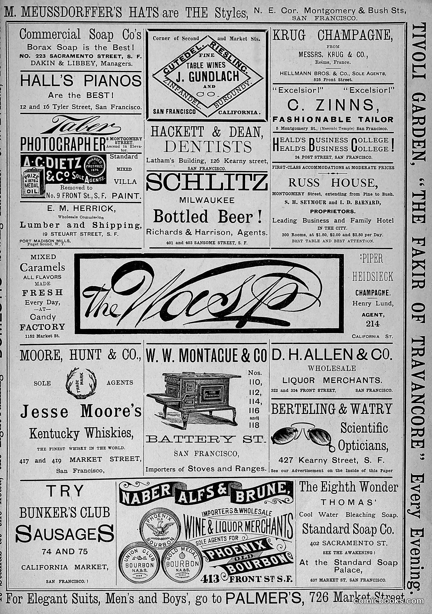 The Wasp — 1881 — page 508 of 532