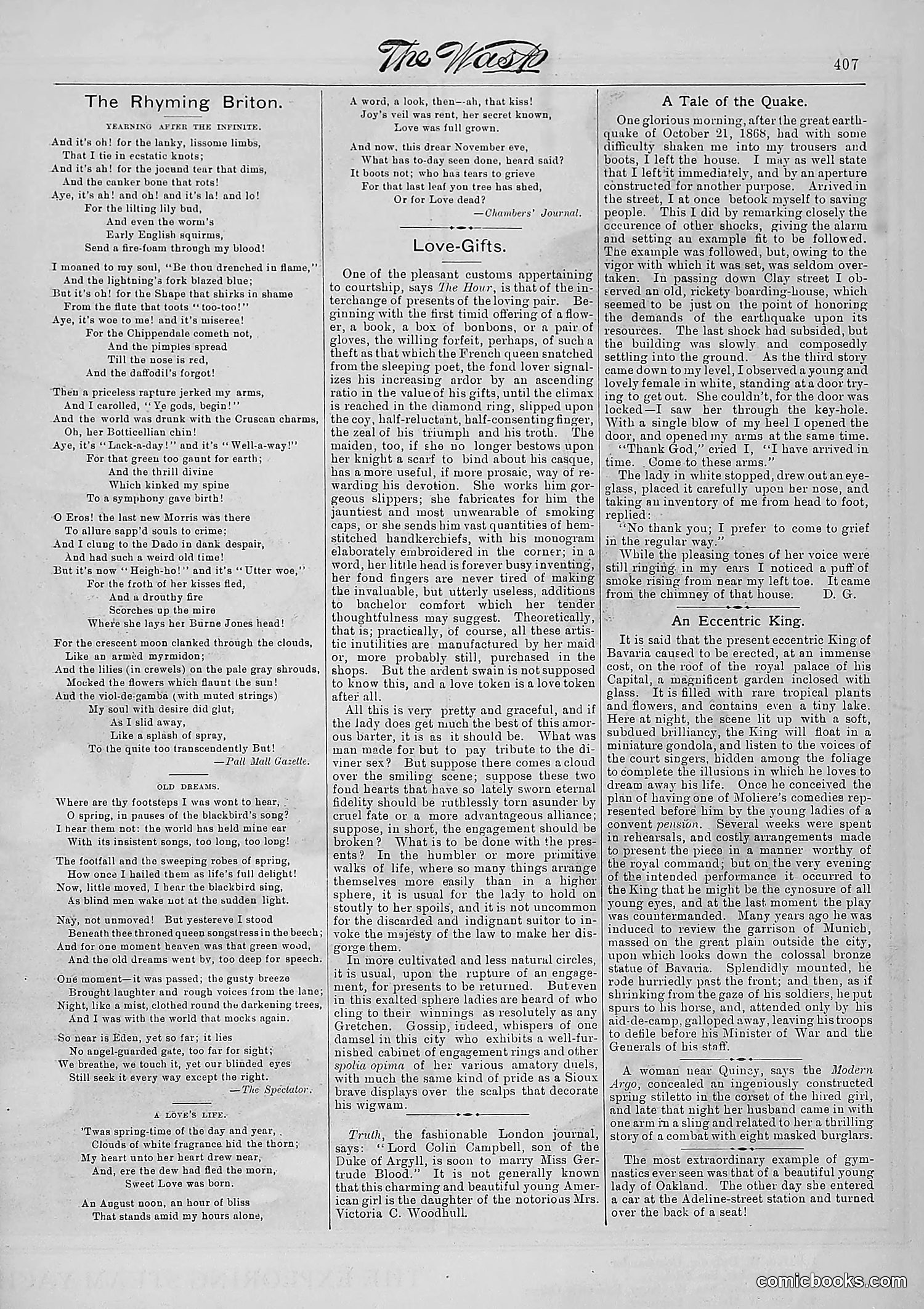 The Wasp — 1881 — page 514 of 532